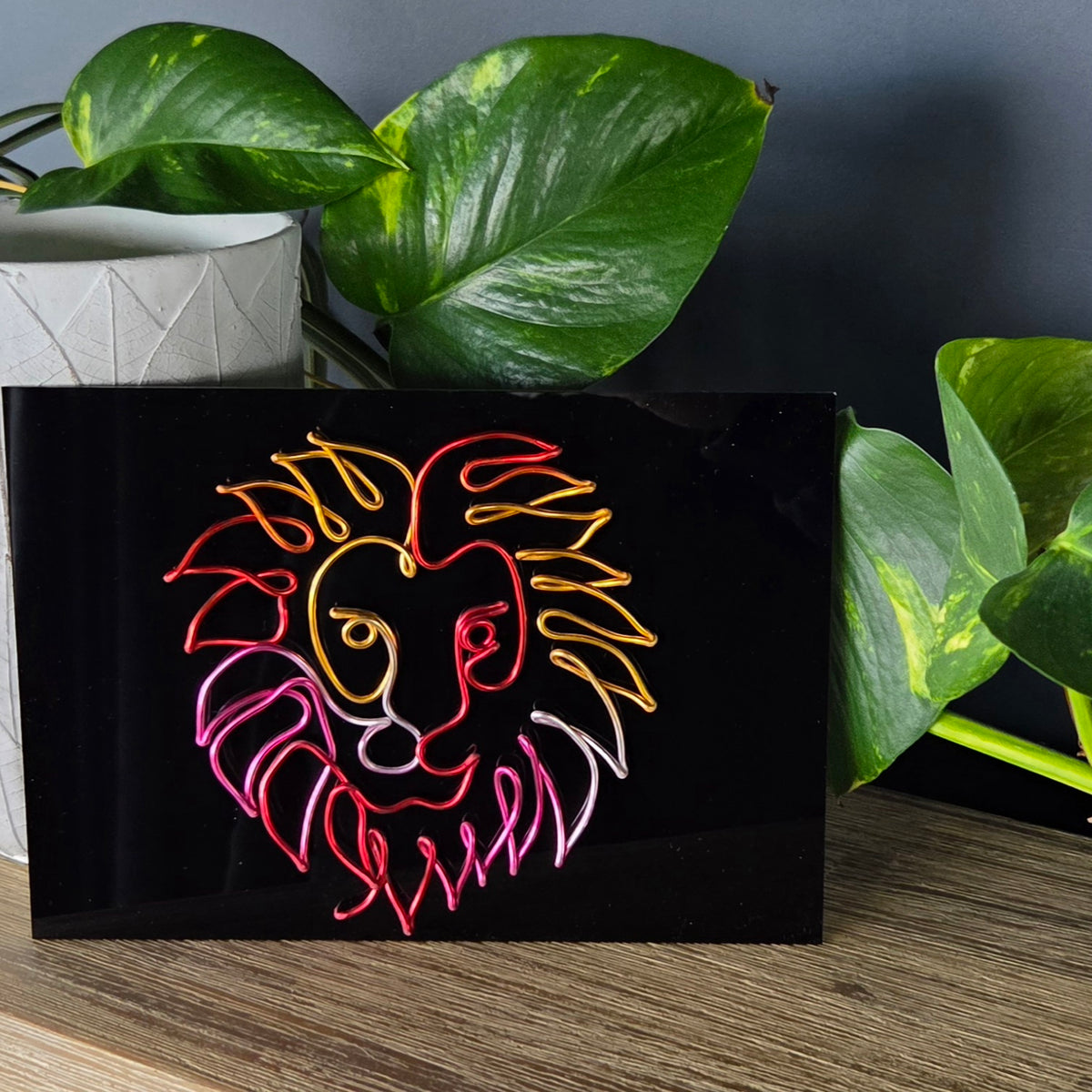 Lion Wire Art Plaque | Custom Colour Wall Art | Wire Lion Sculpture Acrylic Sign | Animal Lover Gift | Leo Zodiac Decor | Personalised Colours