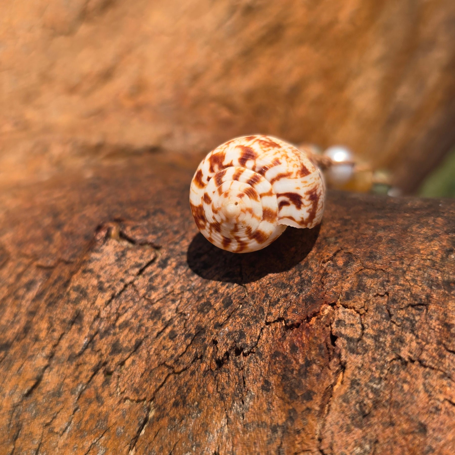 Cone Shell with Rare Ocean Agate & Pearl Necklace