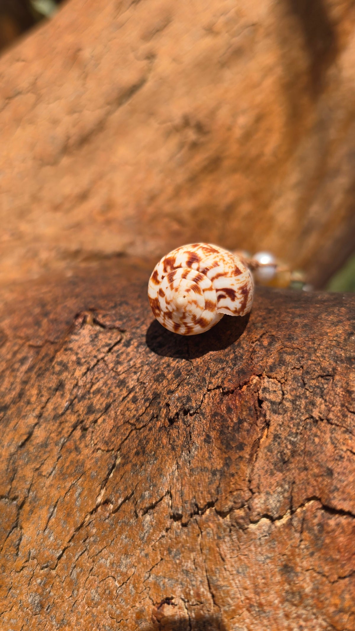 Cone Shell with Rare Ocean Agate & Pearl Necklace