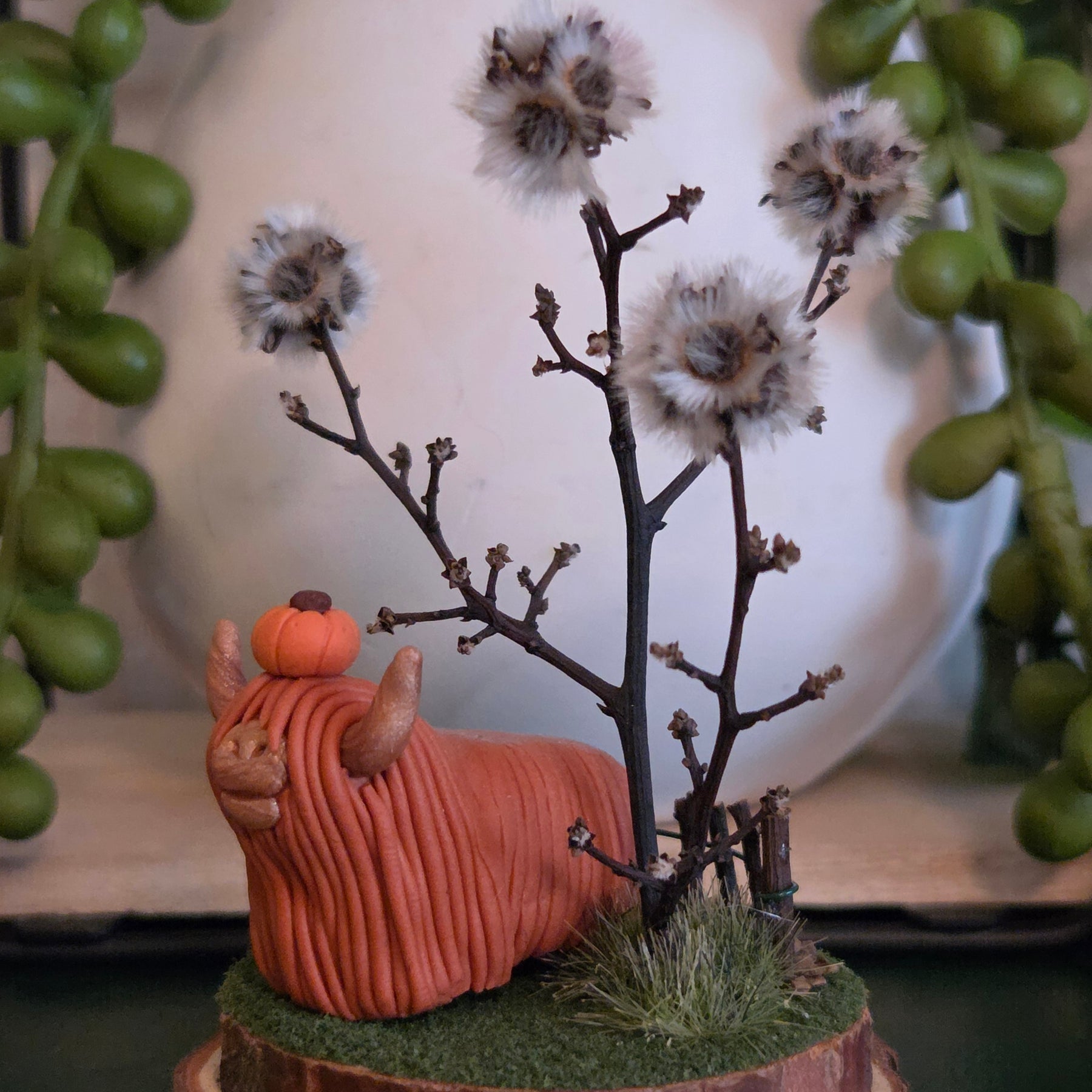 Highland Cow - Estelle