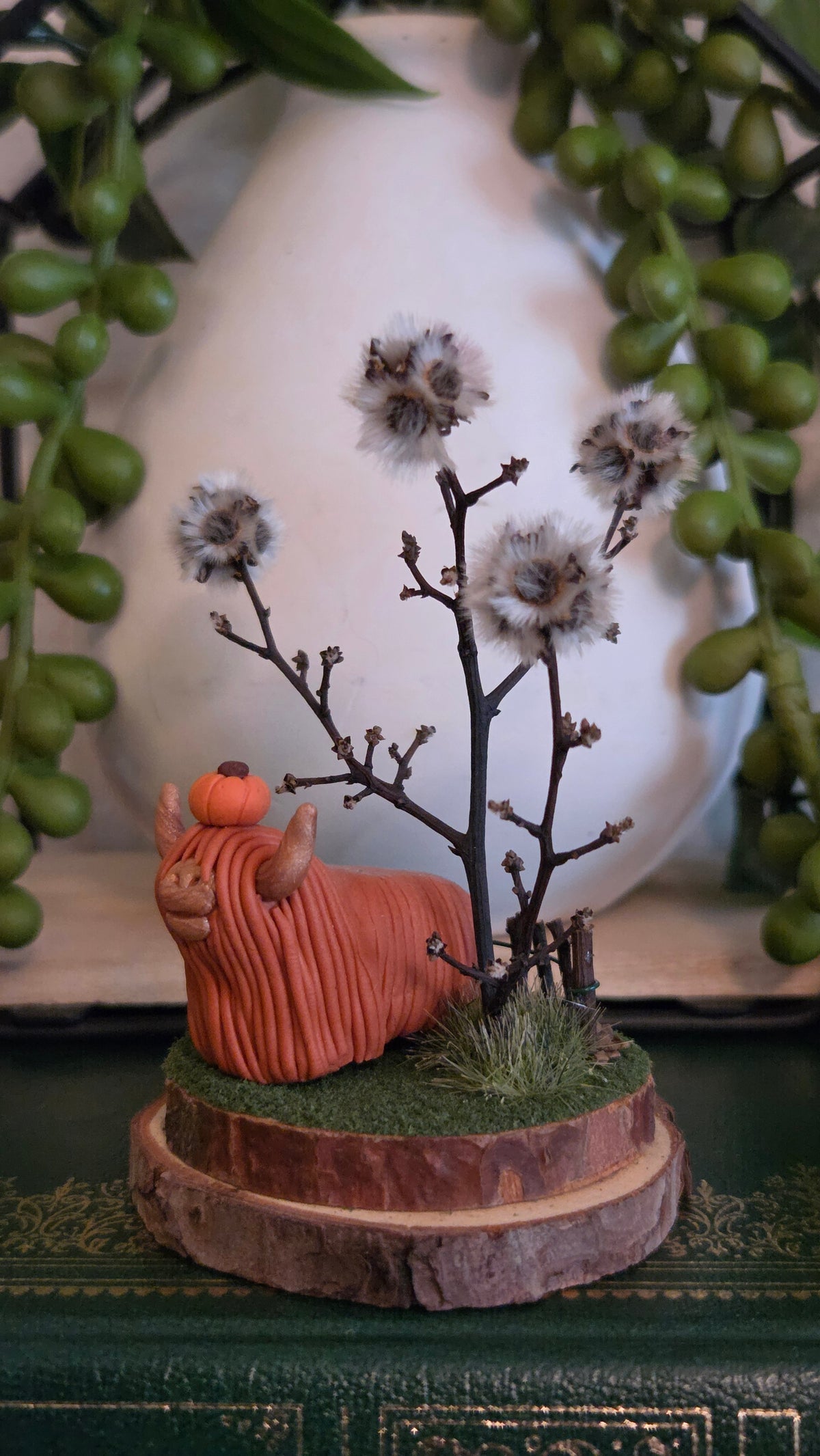 Highland Cow - Estelle