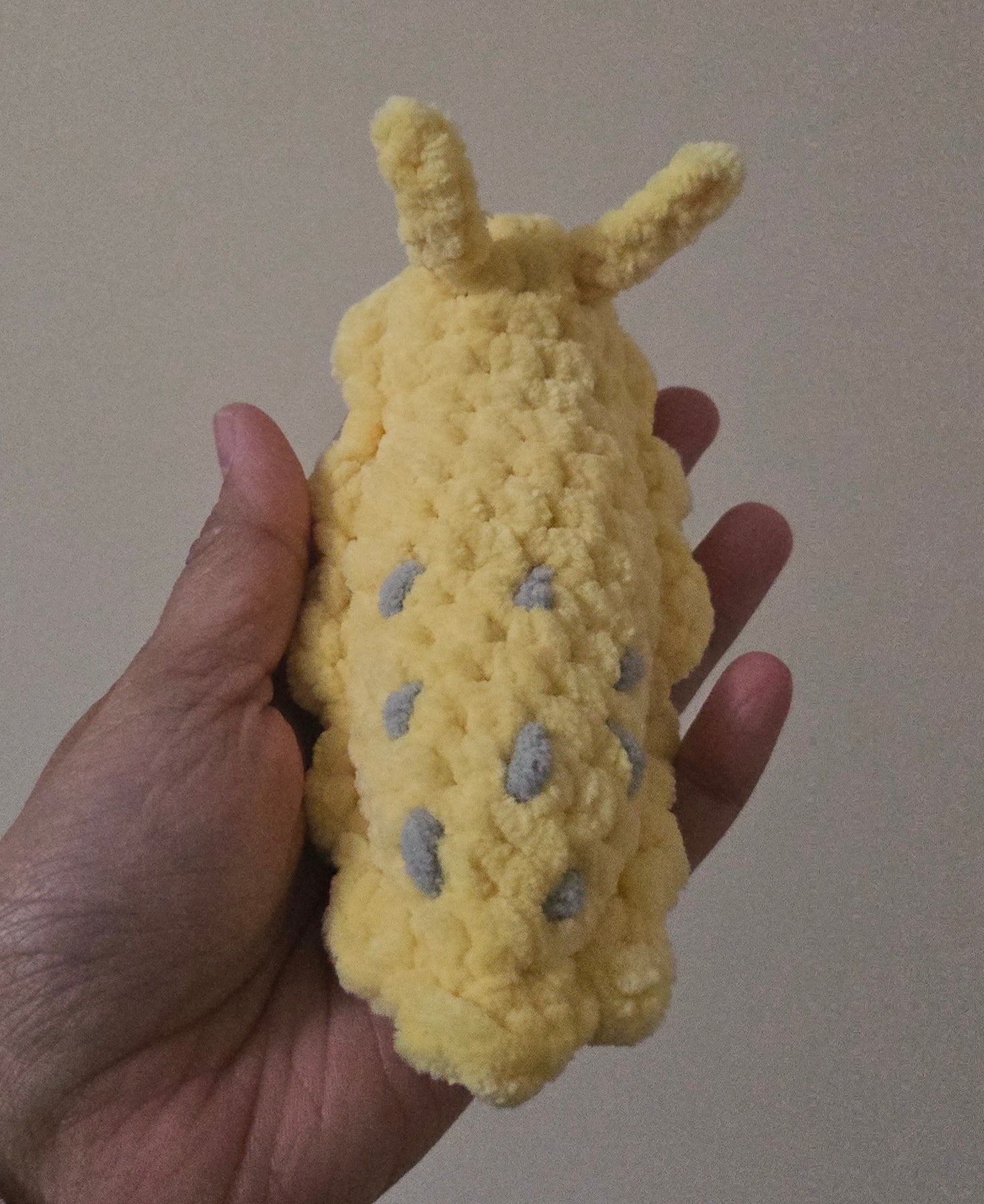 Banana Slug