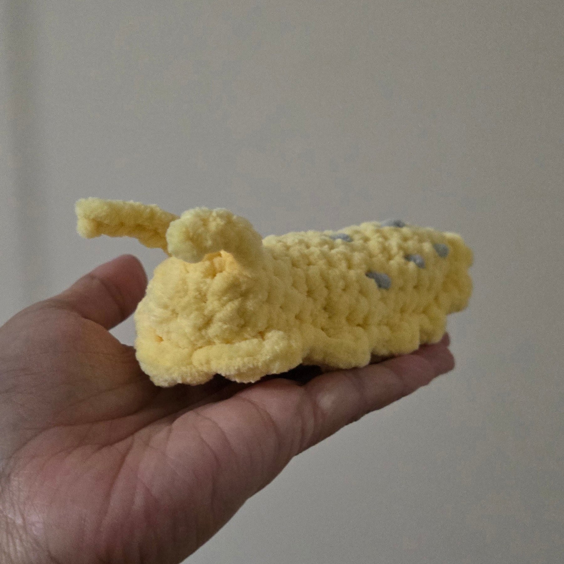 Banana Slug