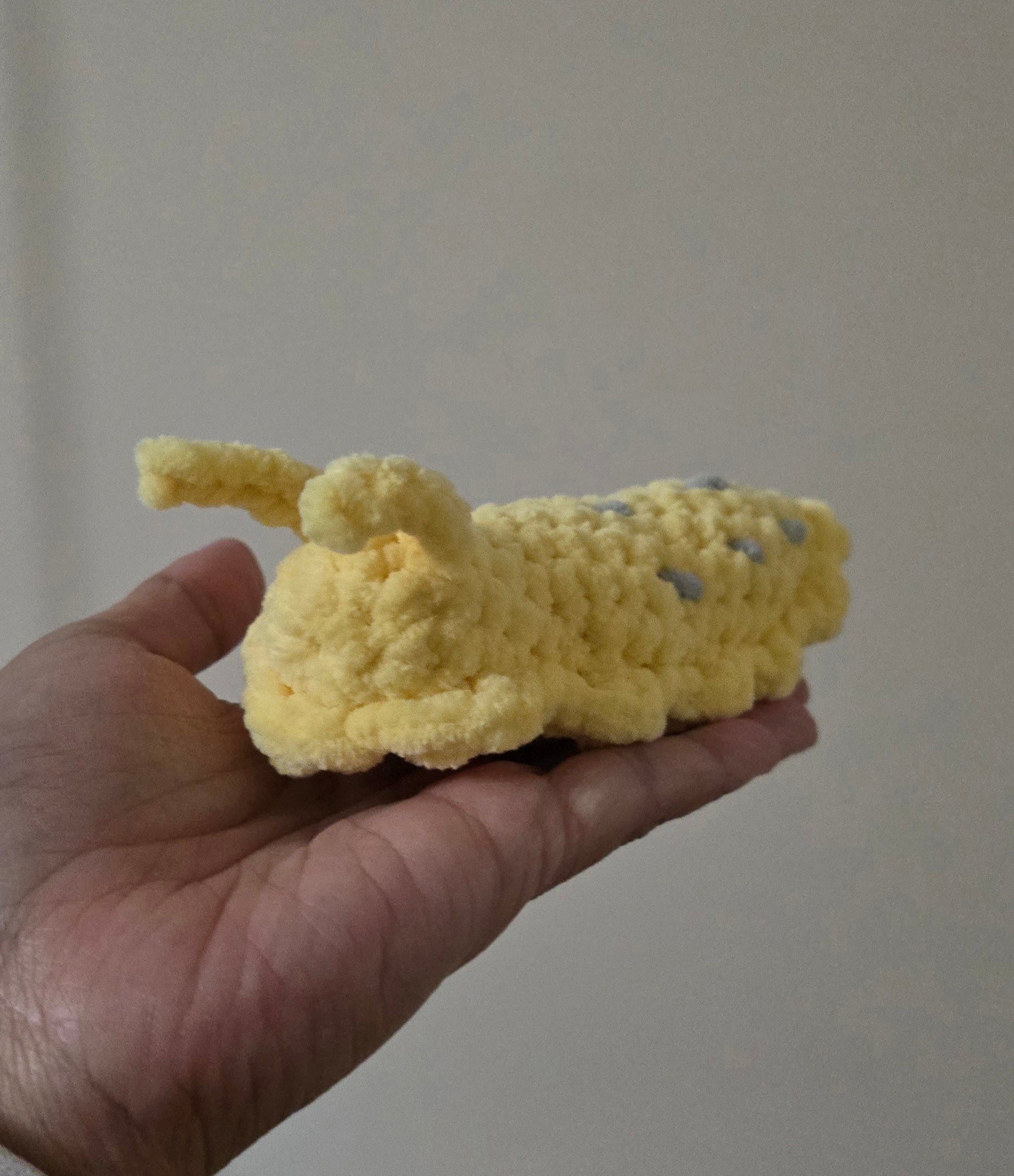 Banana Slug