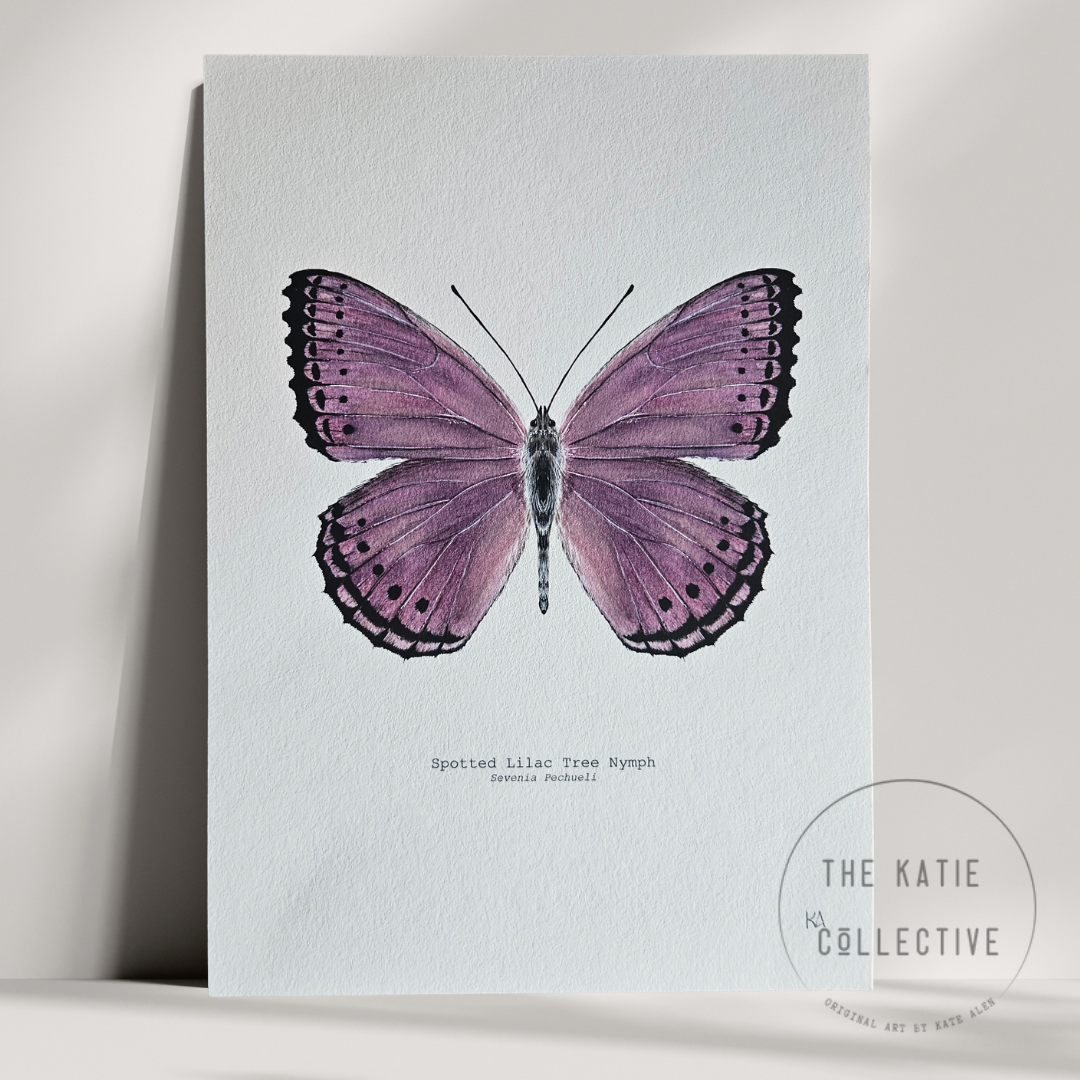 Watercolour Art Print - 'Spotted Lilac Butterfly'