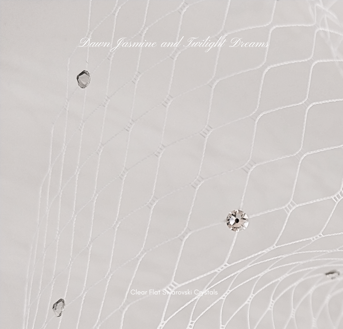 Swarovski Crystal Bandeau Birdcage Veil | The Grace