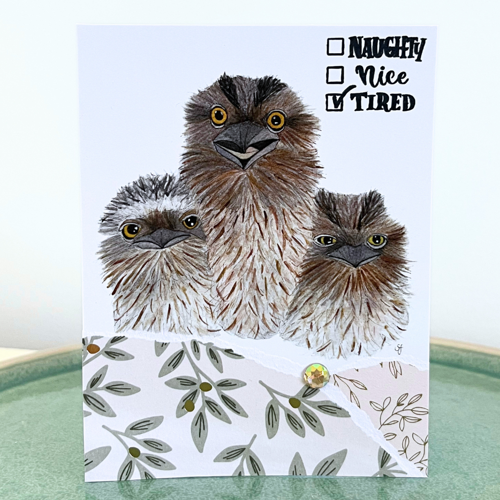 Christmas card - owls (choice of options)
