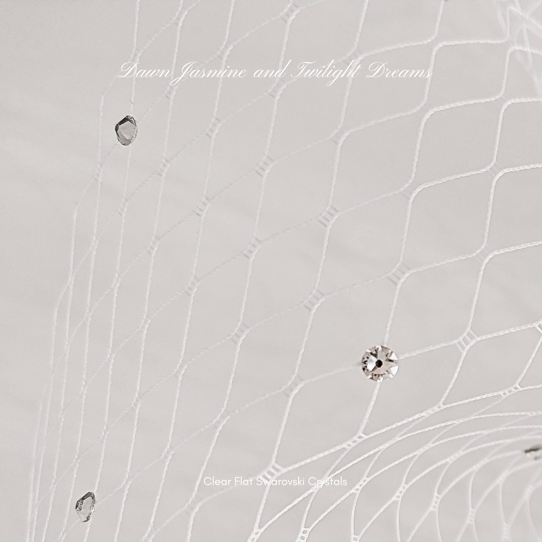 Swarovski® Crystal Side Birdcage Bridal Veil | The Phoebe