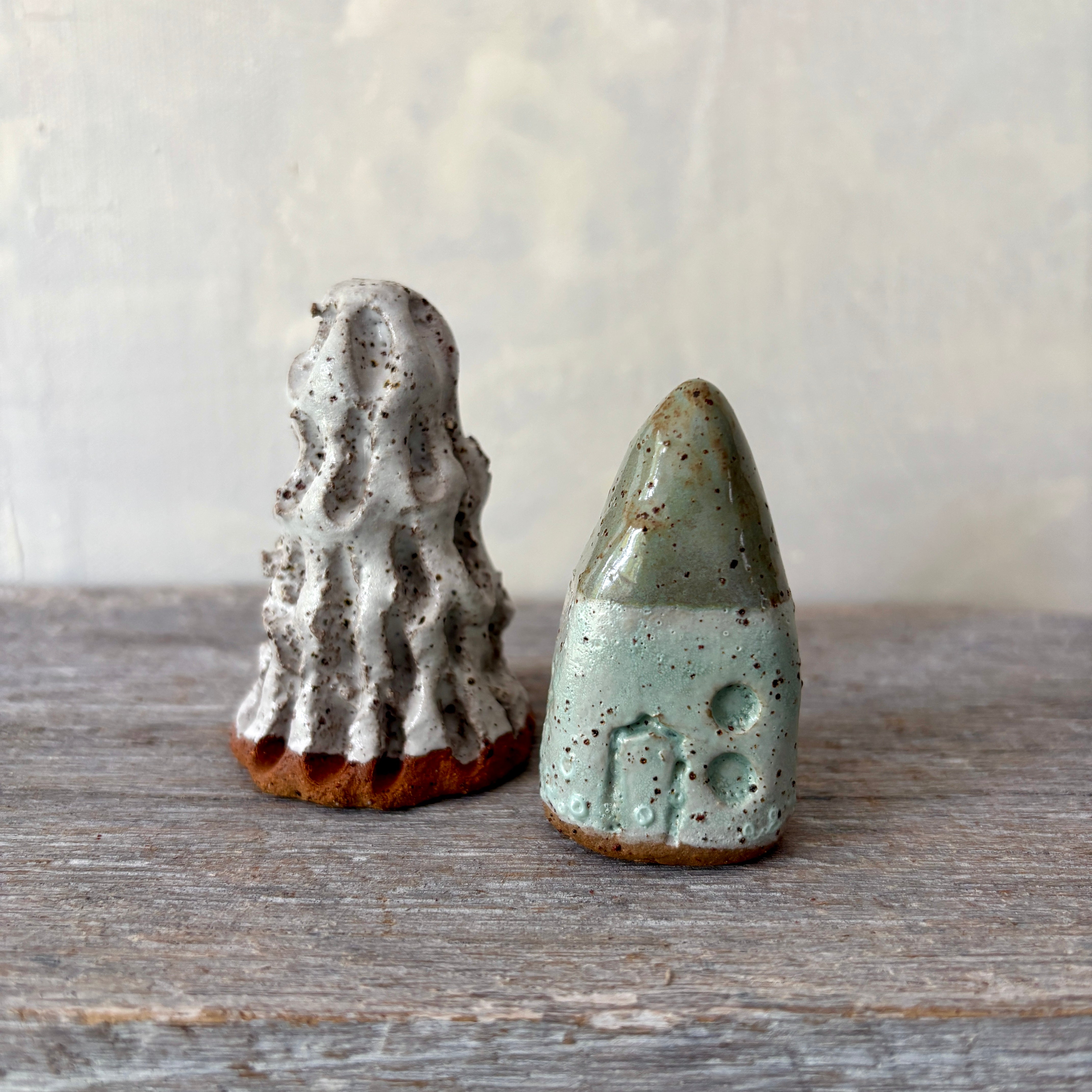 A cute tiny cottage with a little tree