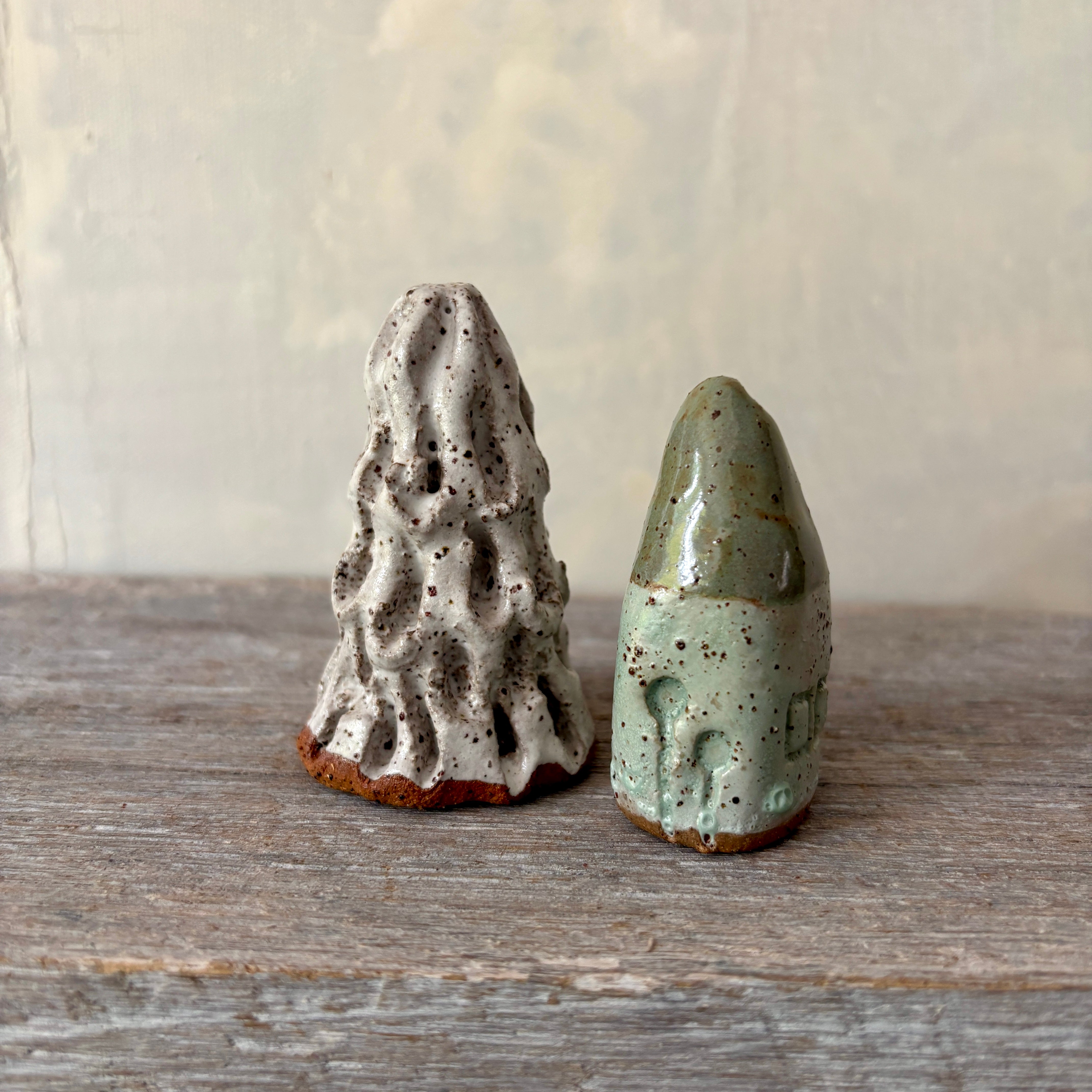 A cute tiny cottage with a little tree