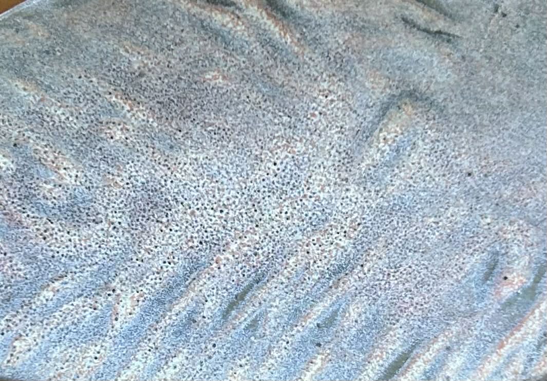 Spoon Fish Spoon Rest