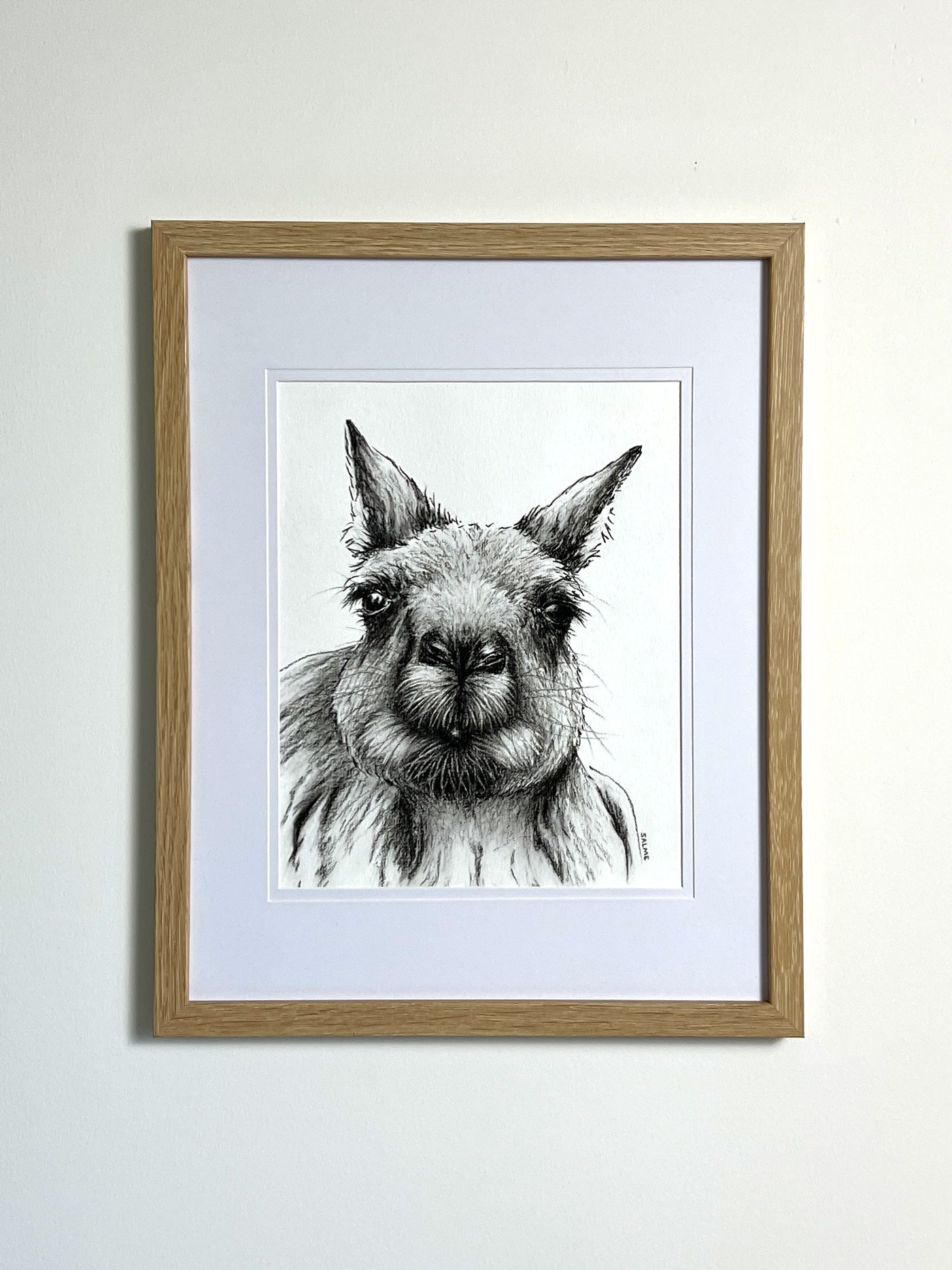 Curious Roo | Kangaroo | Hand Drawn Original Artwork