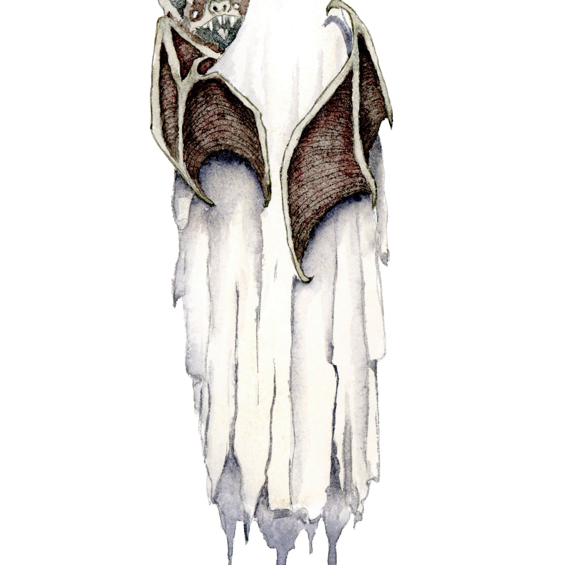 GHOST SERIES COMPLETE BUNDLE 5X7 ARCHIVAL PRINTS - TANGLED ROSE ART