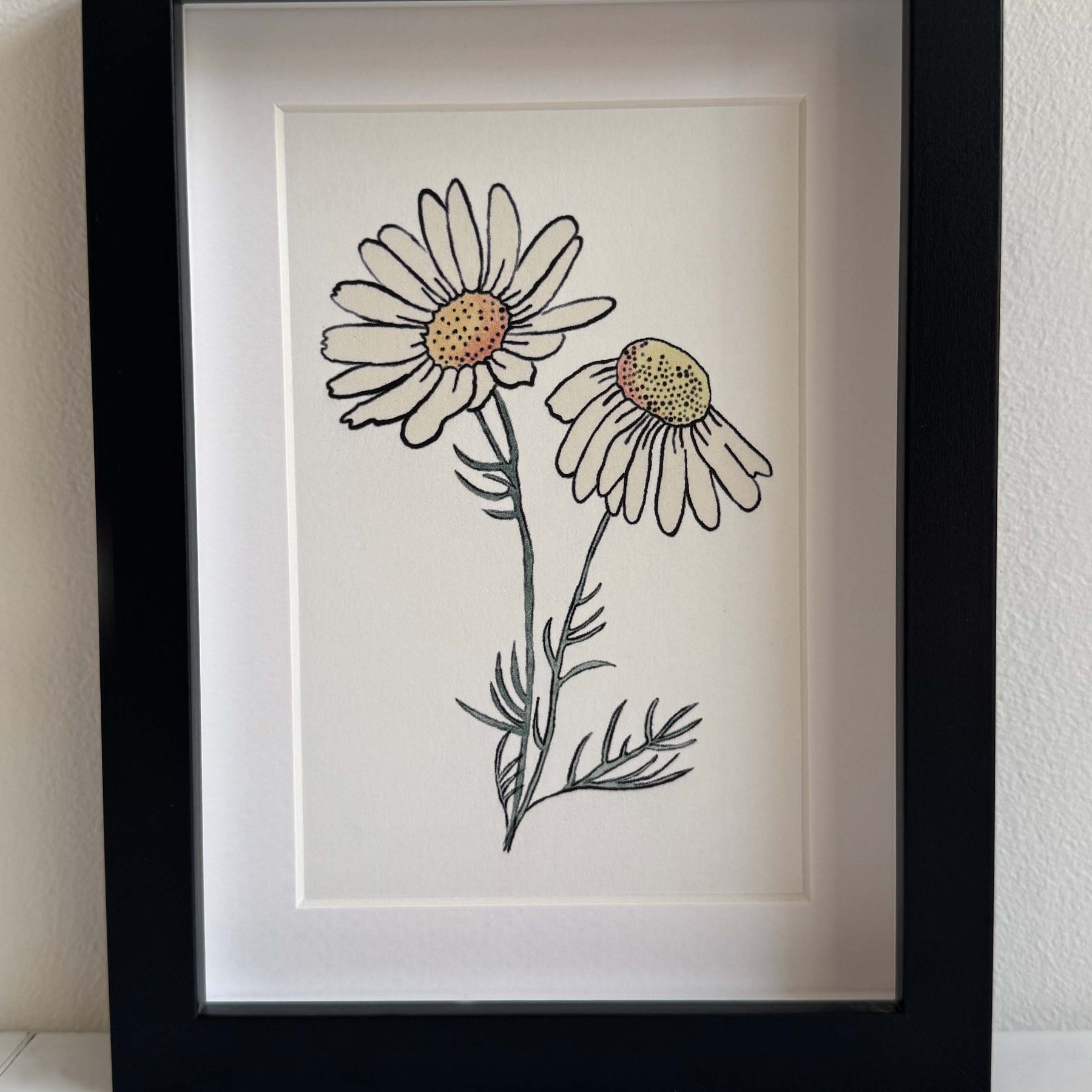 Modern Mini Print: Daisy Study 1, Black Frame Included (13 x 18cm)