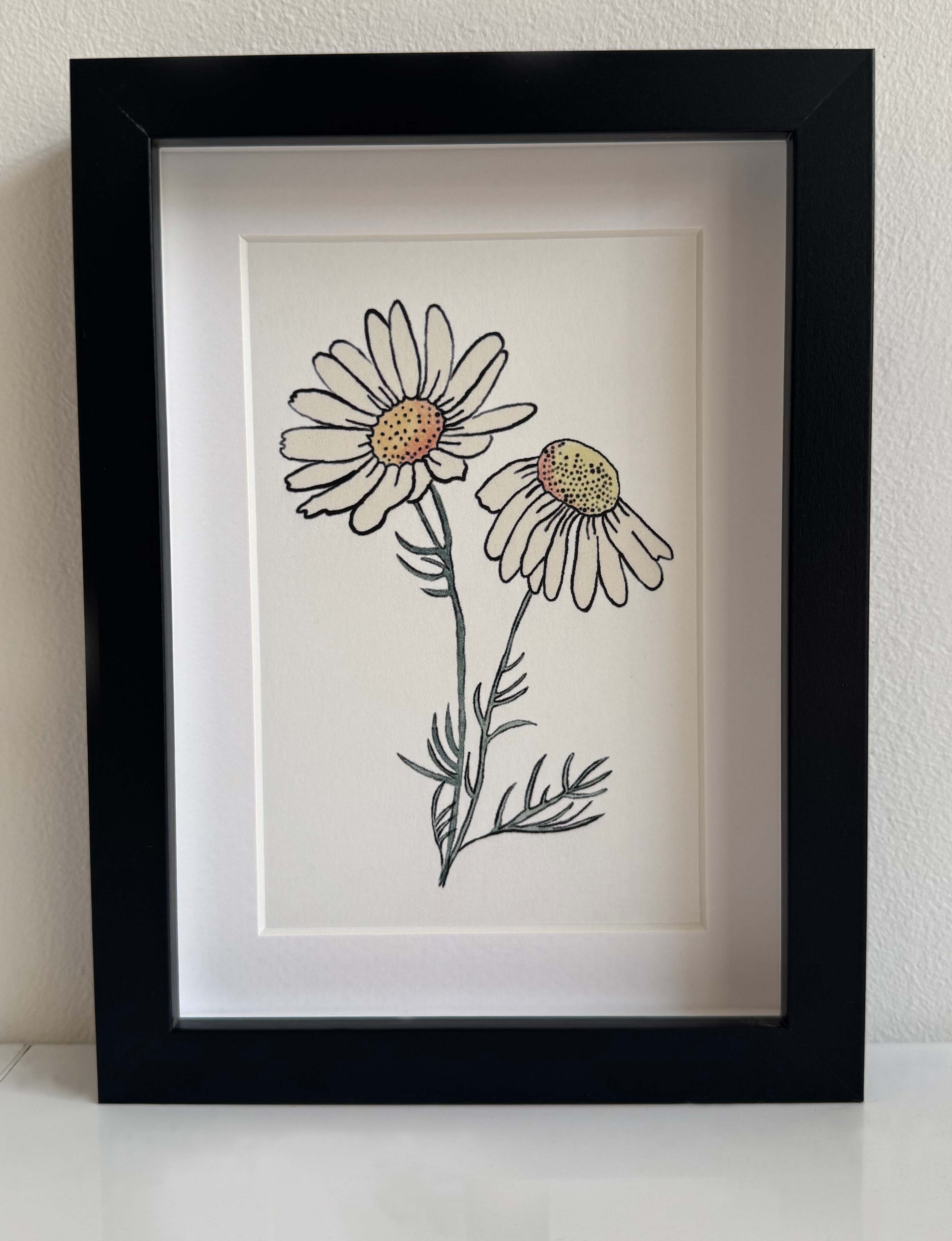 Modern Mini Print: Daisy Study 1, Black Frame Included (13 x 18cm)