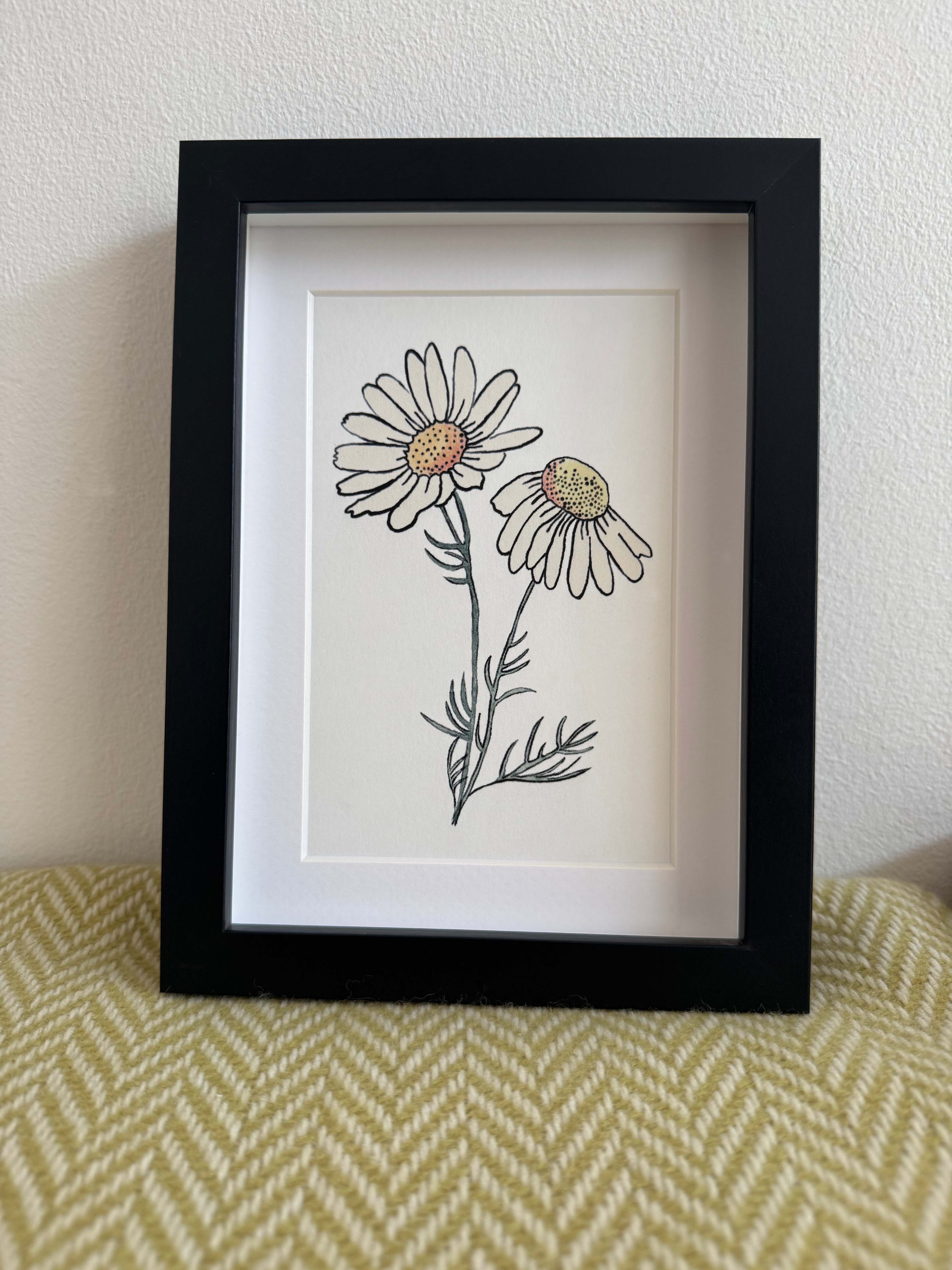 Modern Mini Print: Daisy Study 1, Black Frame Included (13 x 18cm)