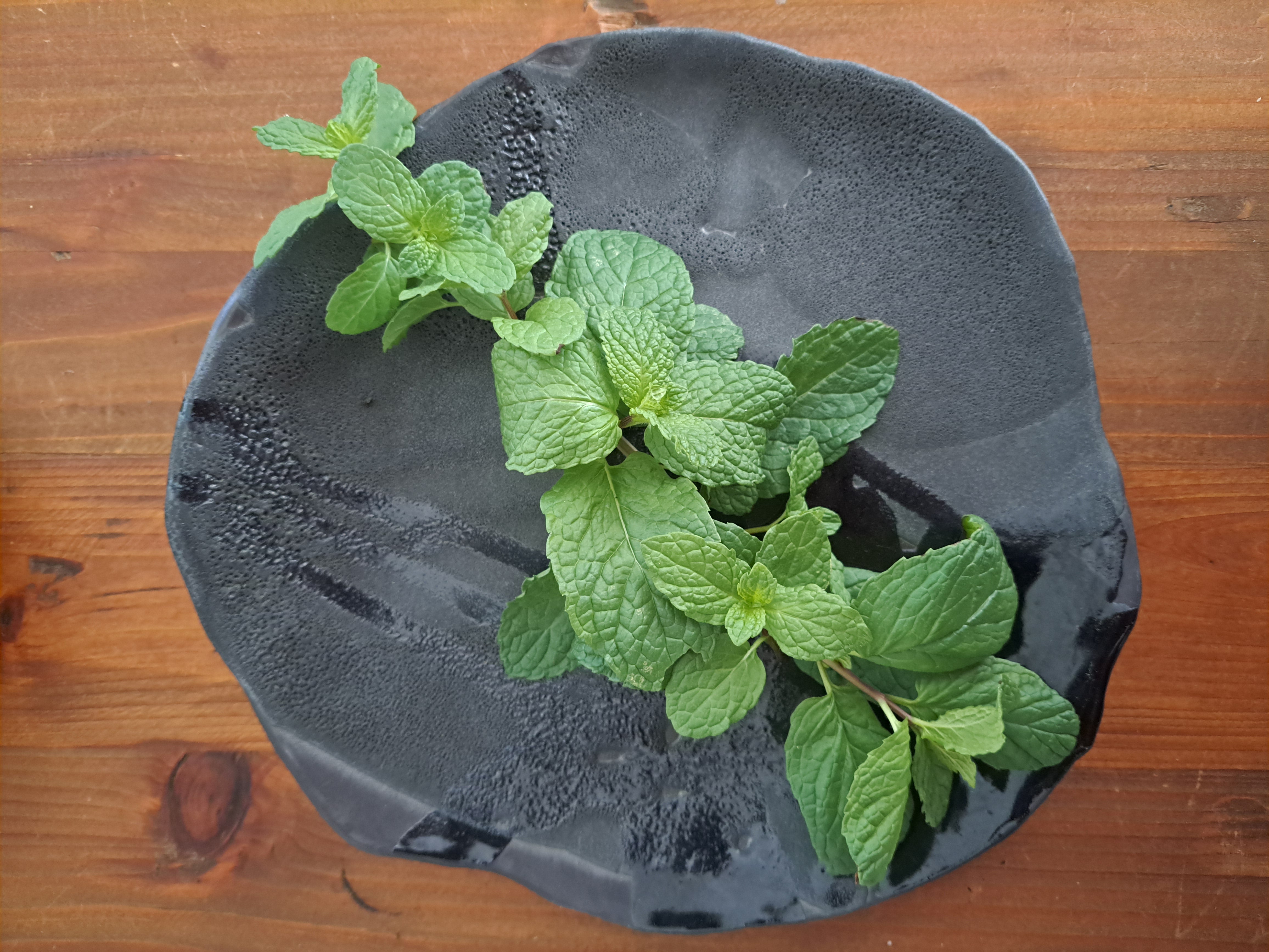 All-Day, Everyday, Low Bowl Set | Dark • Moody • Functional