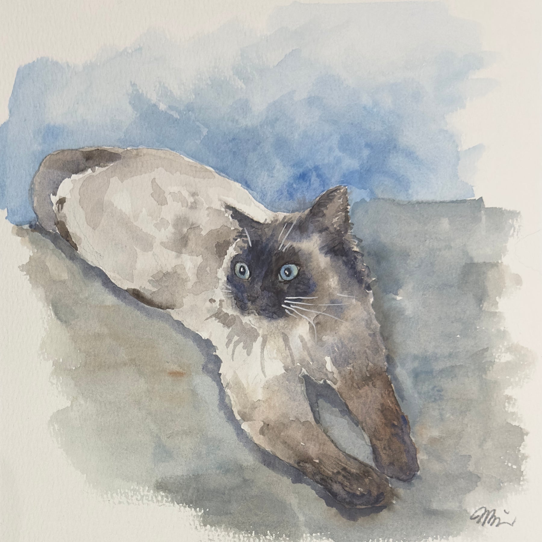 Your Pet Portrait with Personality🐾