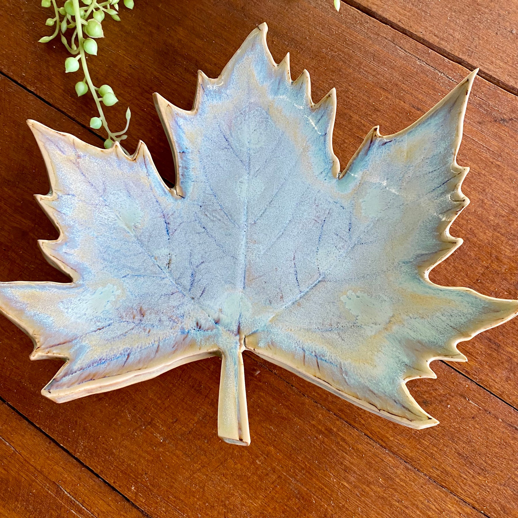 Ceramic Botanical Leaf|Handmade Pottery