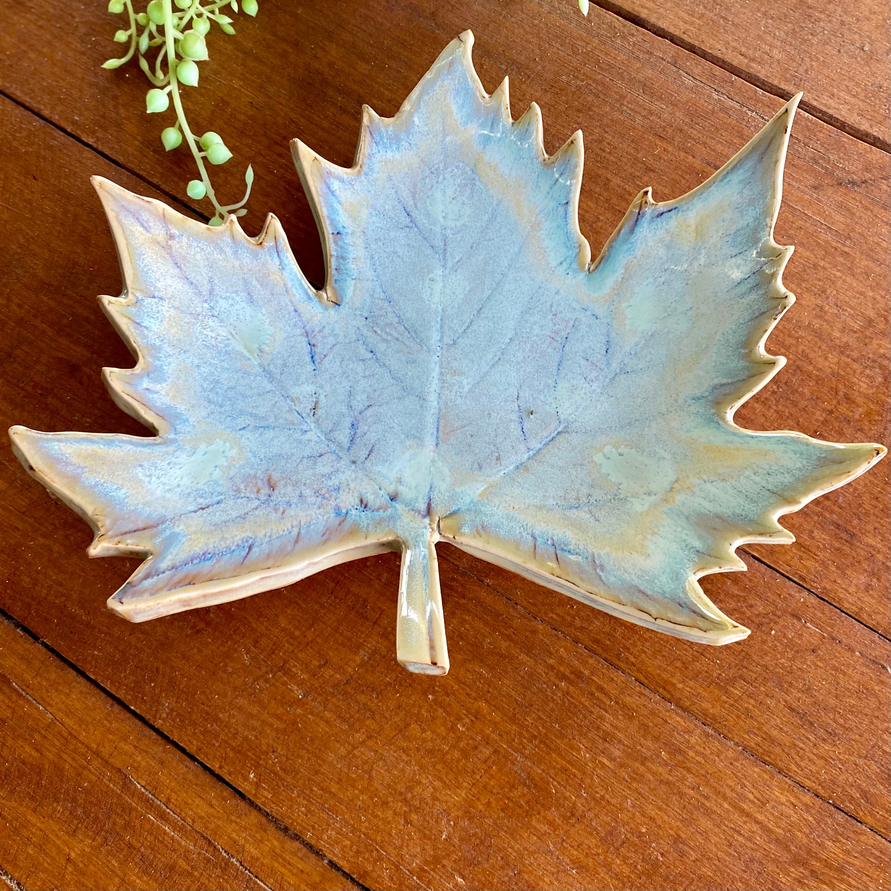 Ceramic Botanical Leaf|Handmade Pottery