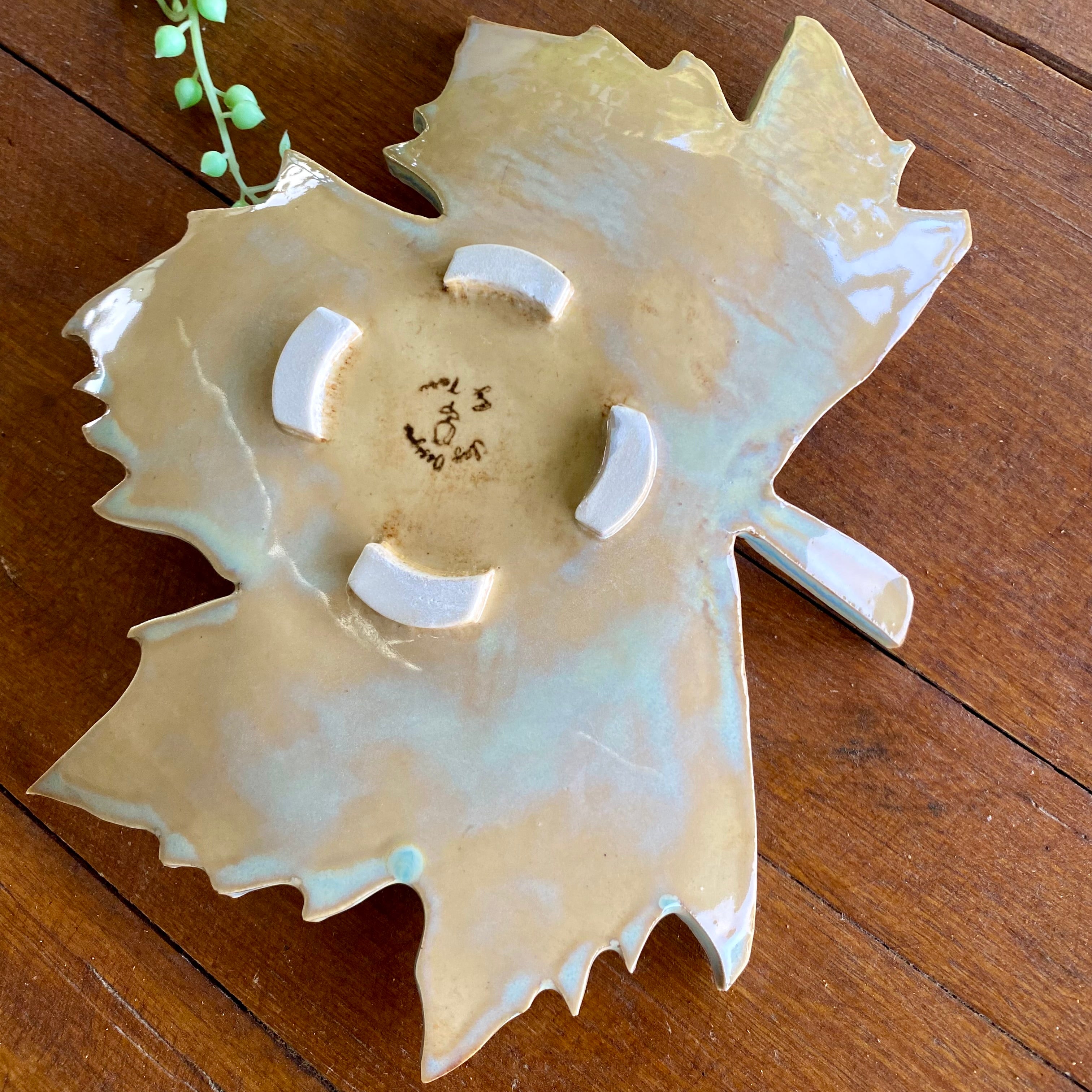 Ceramic Botanical Leaf|Handmade Pottery