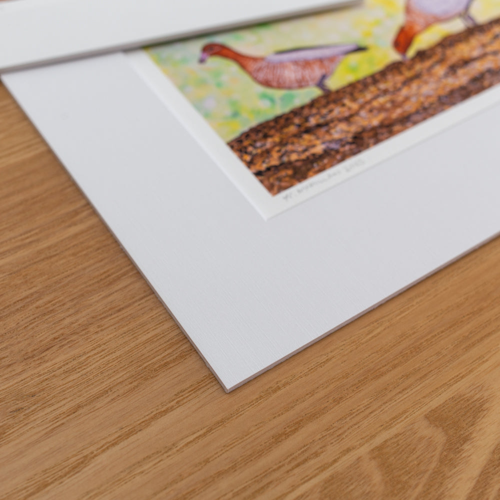 Print | Matted | Australian Wood Ducks