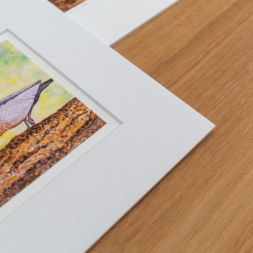 Print | Matted | Australian Wood Ducks