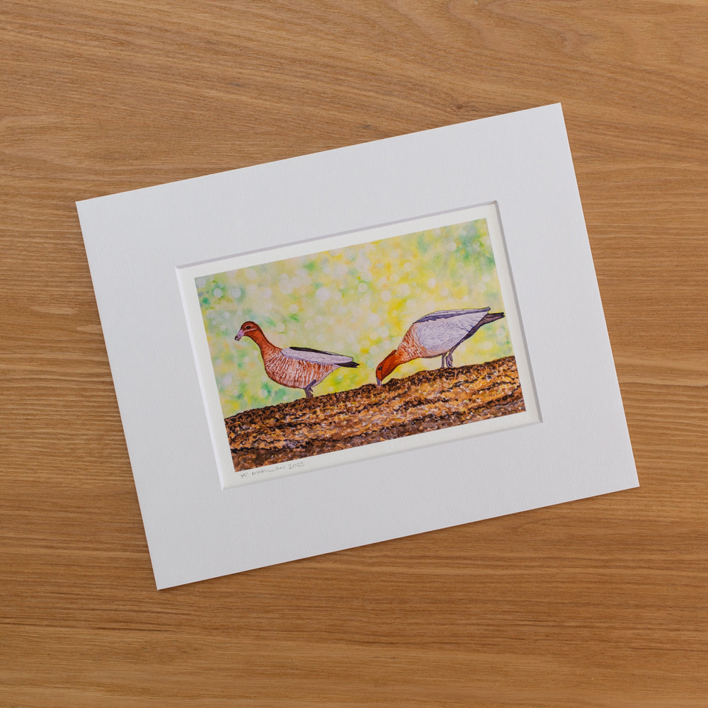 Print | Matted | Australian Wood Ducks