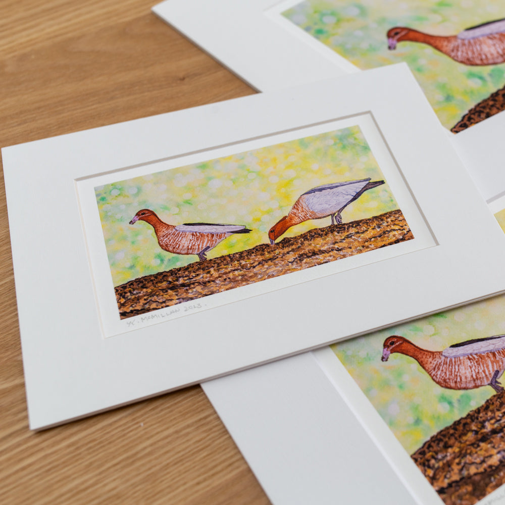 Print | Matted | Australian Wood Ducks