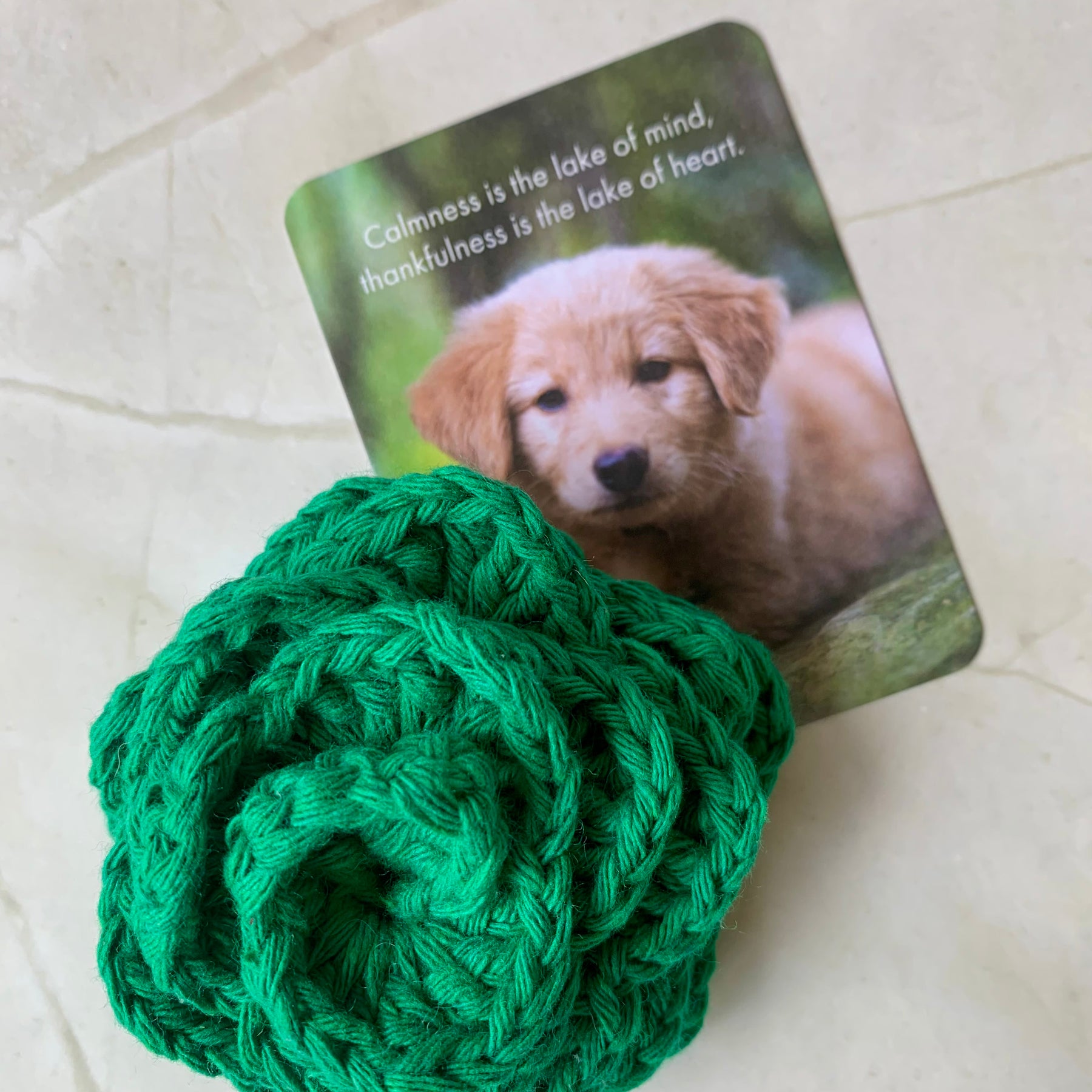 Crochet Succulent Magnets – Handmade Cotton Plant Magnet – Fridge & Office Decor – Australian Gift