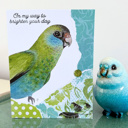 Hooded parrot 