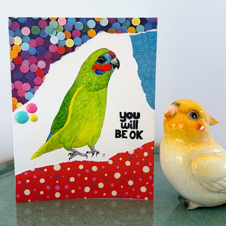 Fig parrot 