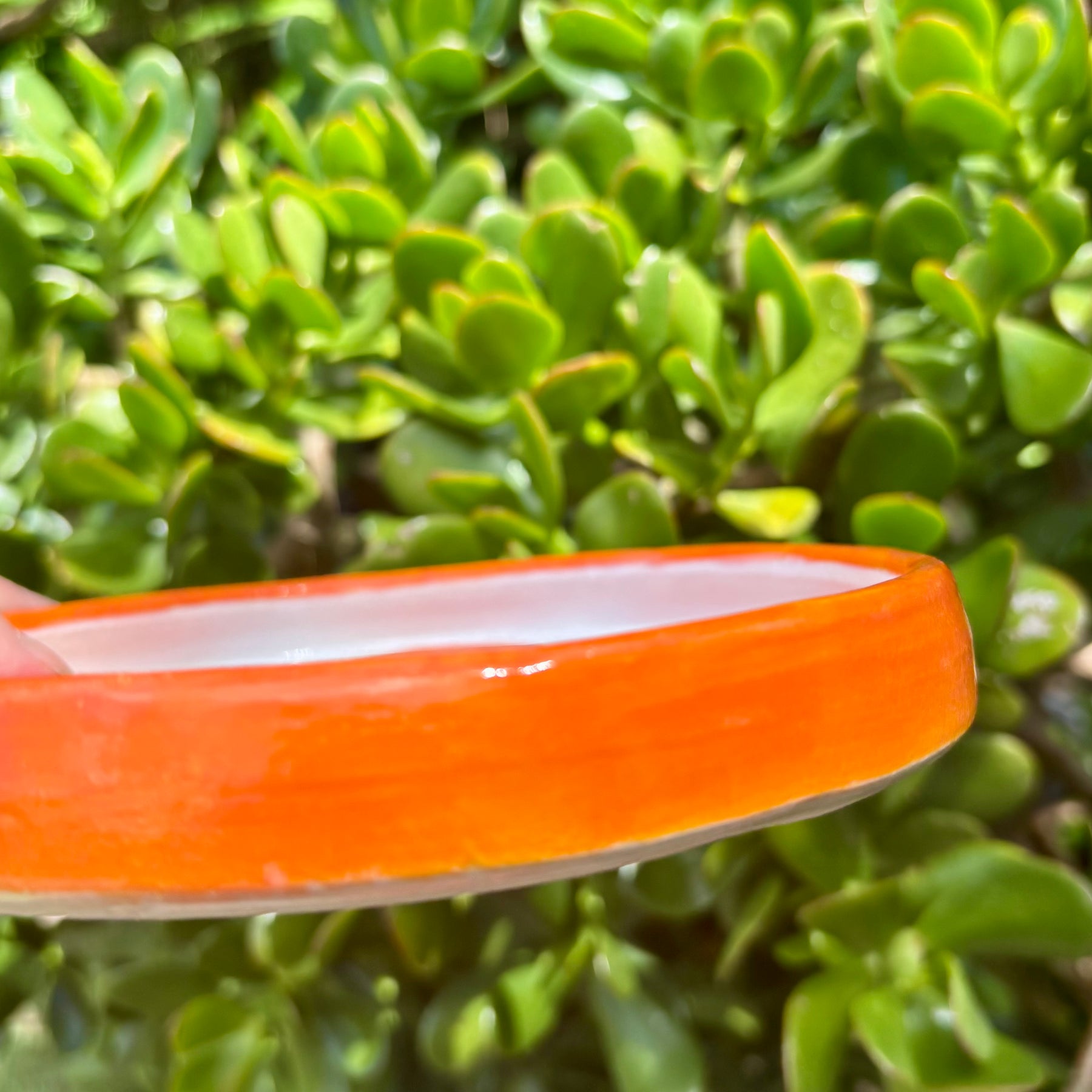 Orange plates