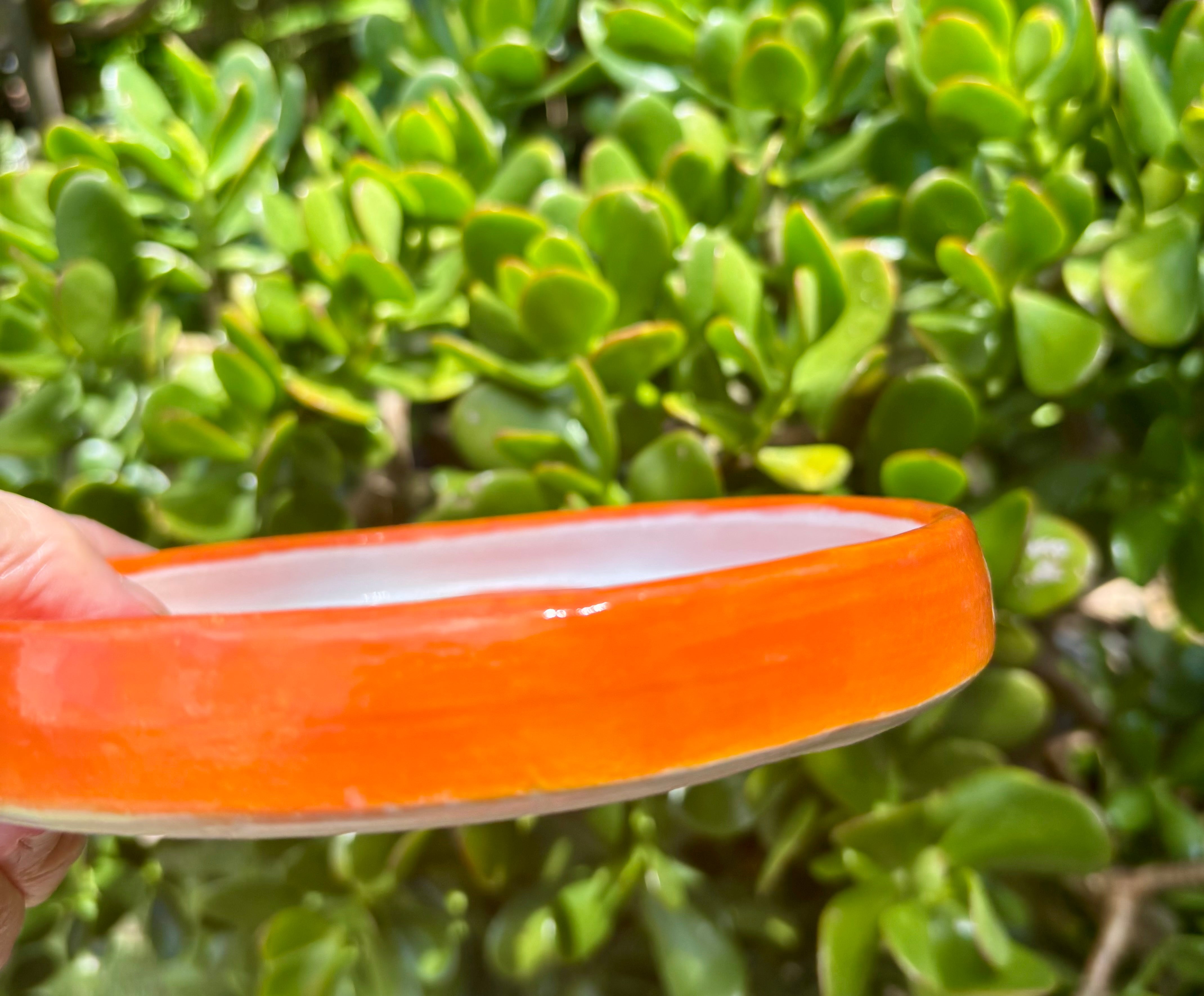 Orange plates