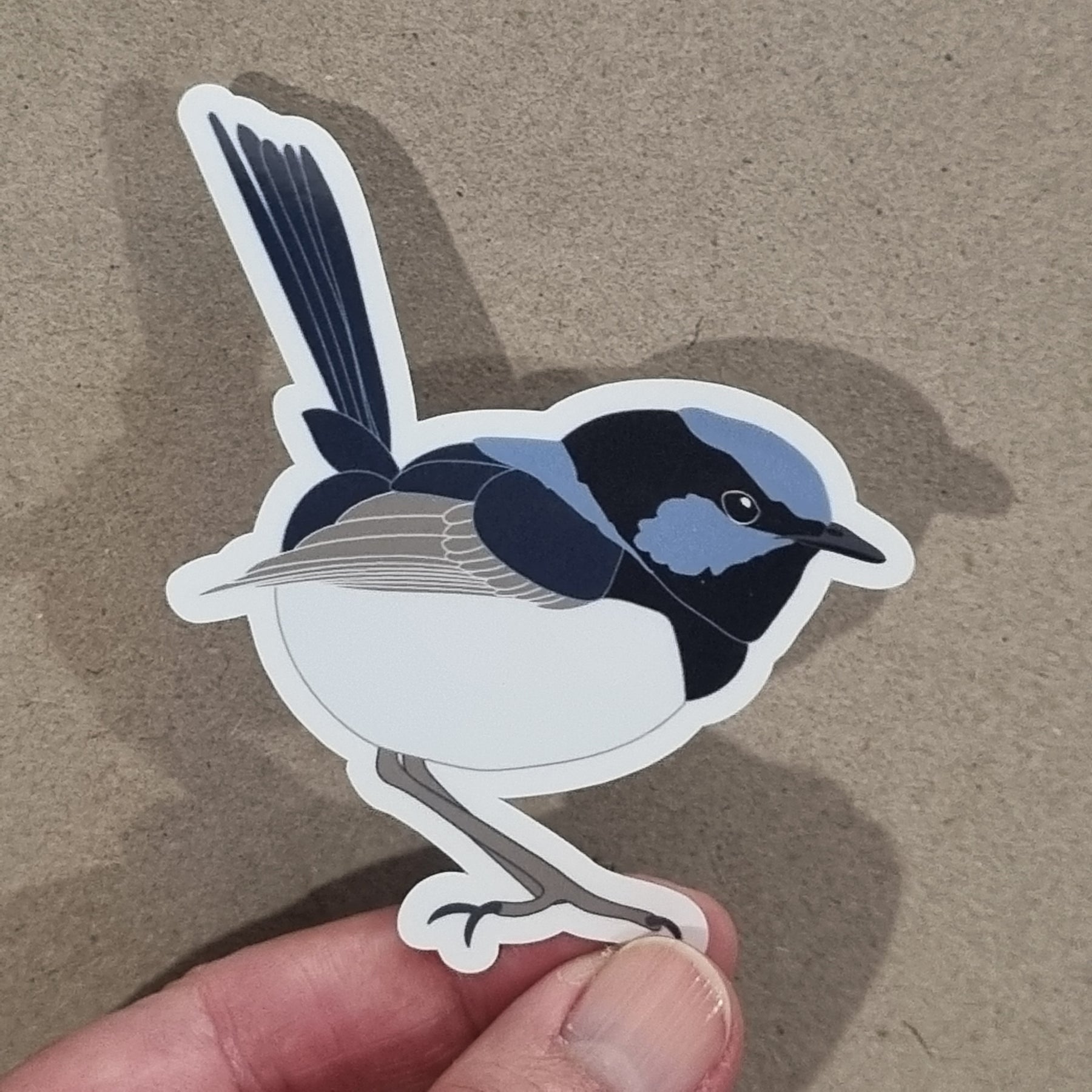 Superb Blue Fairy Wren Bird Sticker