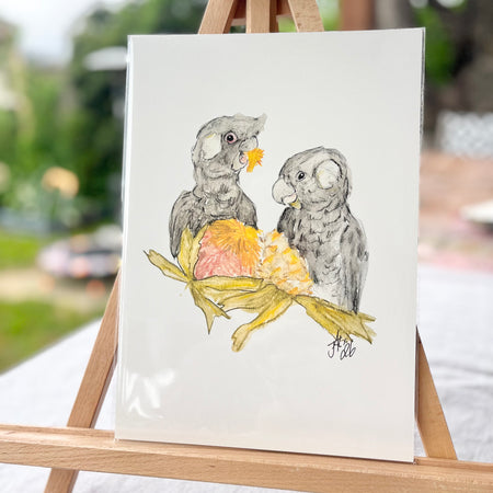 Carnaby’s Snack Time | Australian Native Birds Illustration | A4 Print
