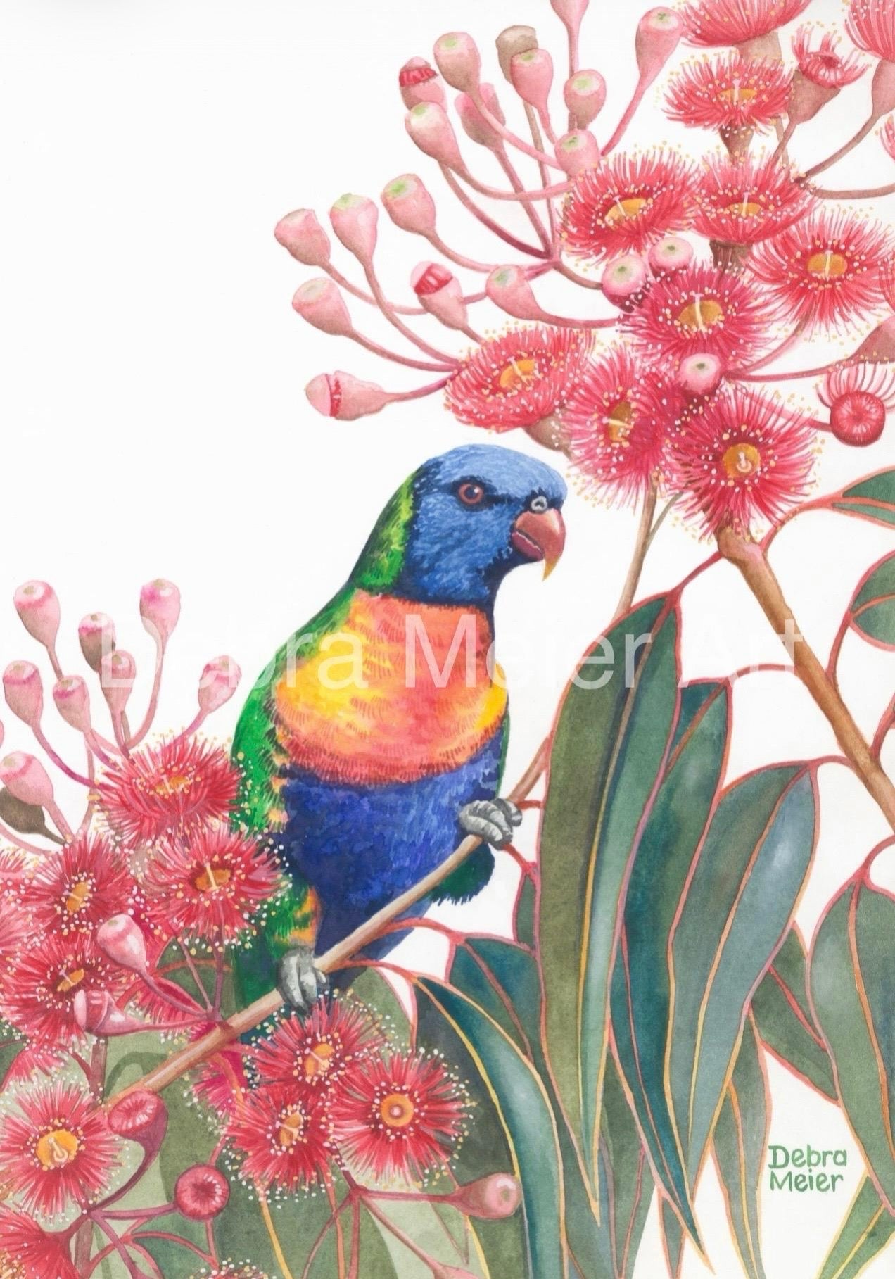 Rainbow Lorikeet art print by Debra Meier Art