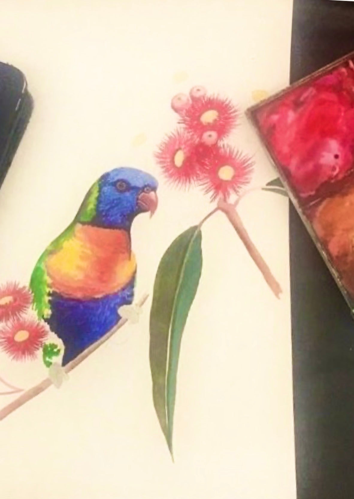 Rainbow Lorikeet art print by Debra Meier Art