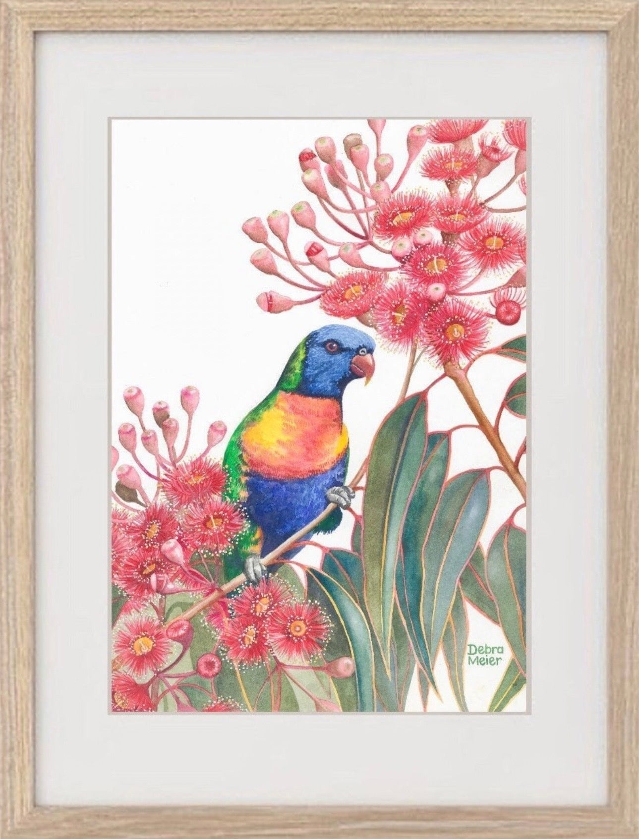 Rainbow Lorikeet art print by Debra Meier Art