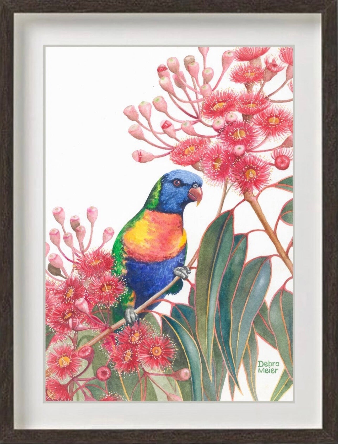 Rainbow Lorikeet art print by Debra Meier Art