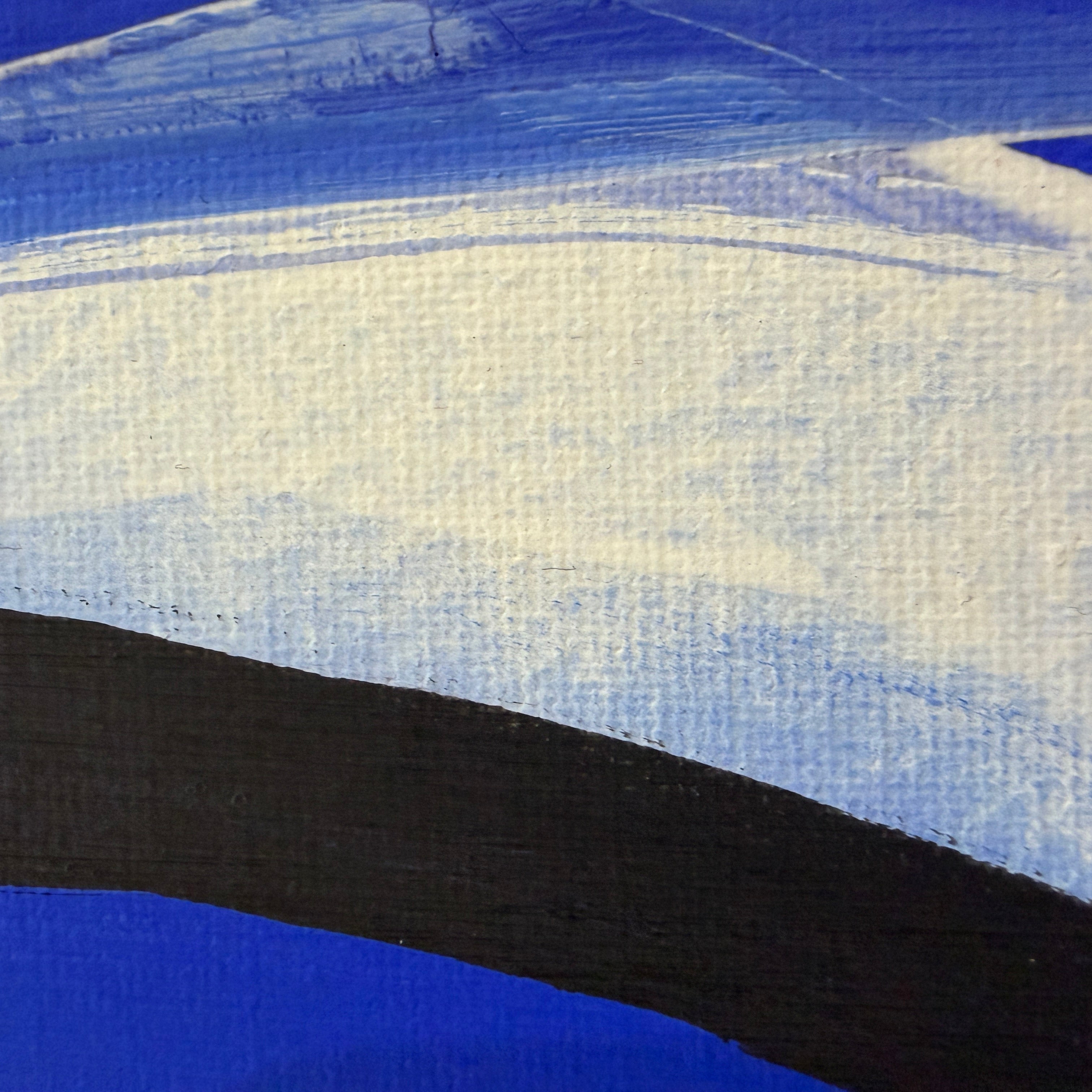 B.W Blue 1