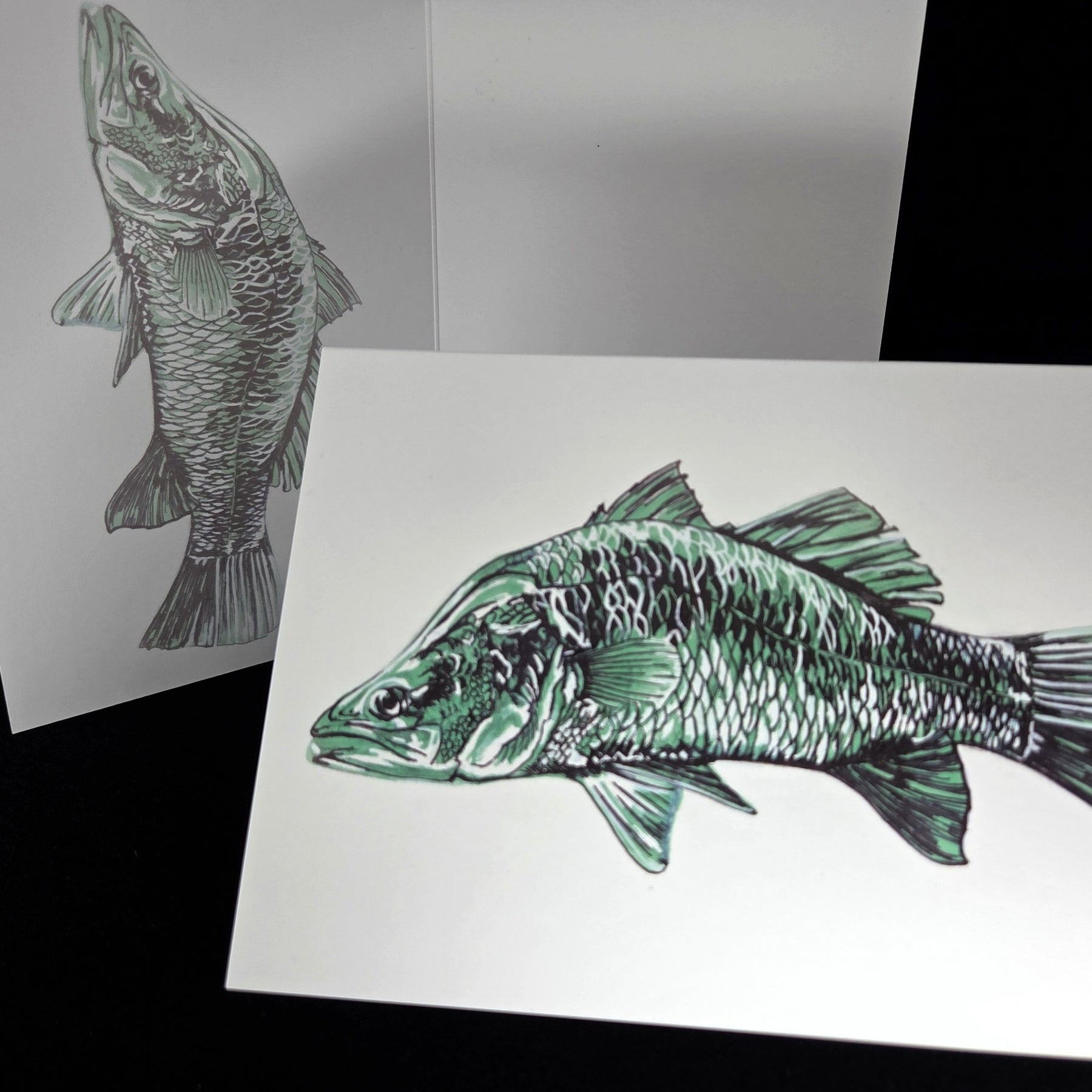 Barramundi Greeting Card (blank inside)- 5cm x 7cm (127mm x 178mm)