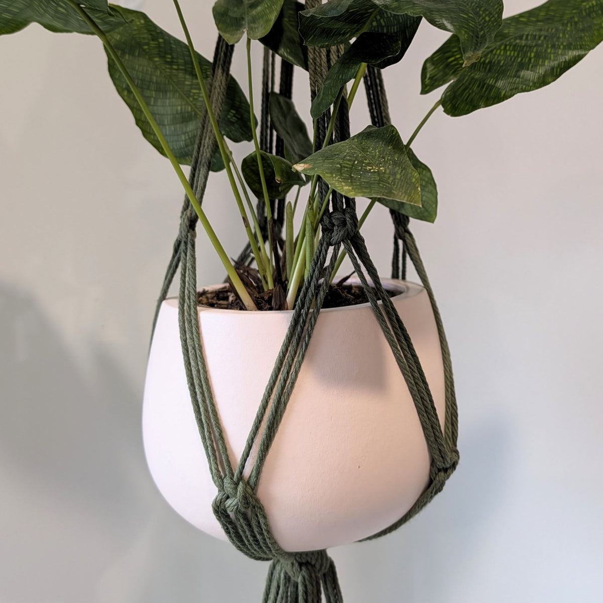 Macrame Plant Hanger - KIRALYNO with Sugargum Décor Shelf
