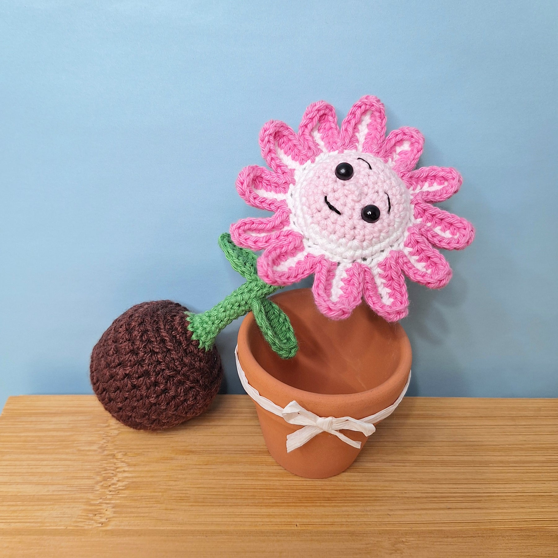 Happy Daisy Crocheted Flower in  Terracotta Pot