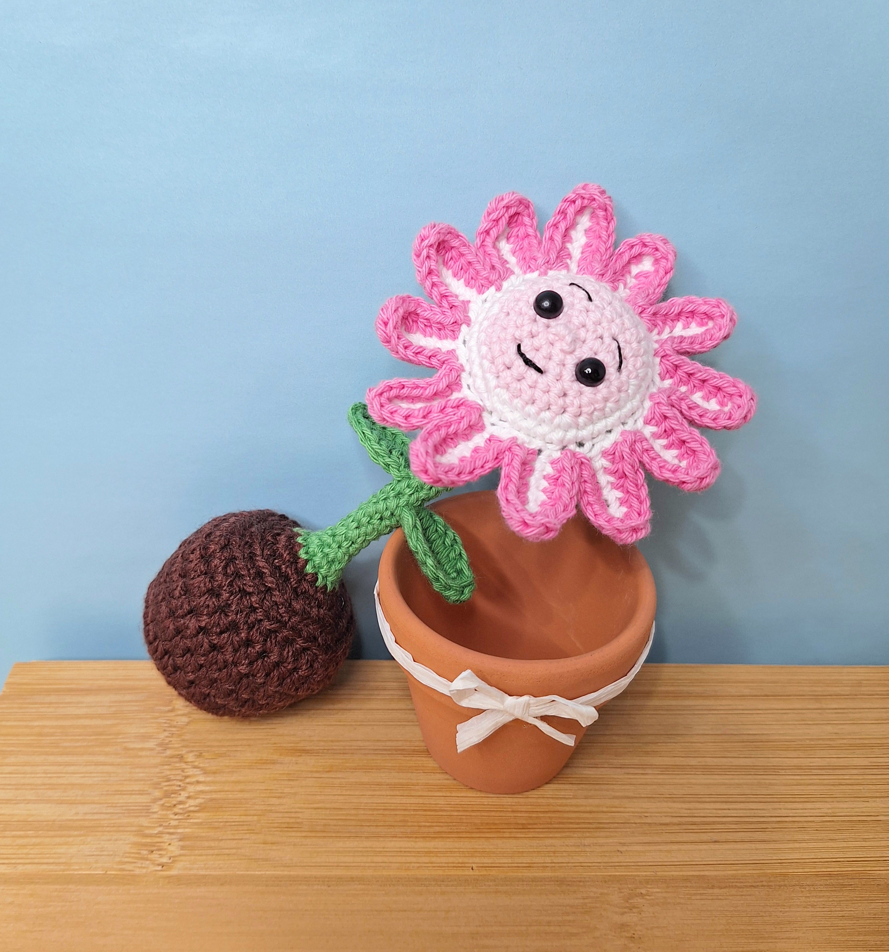 Happy Daisy Crocheted Flower in  Terracotta Pot