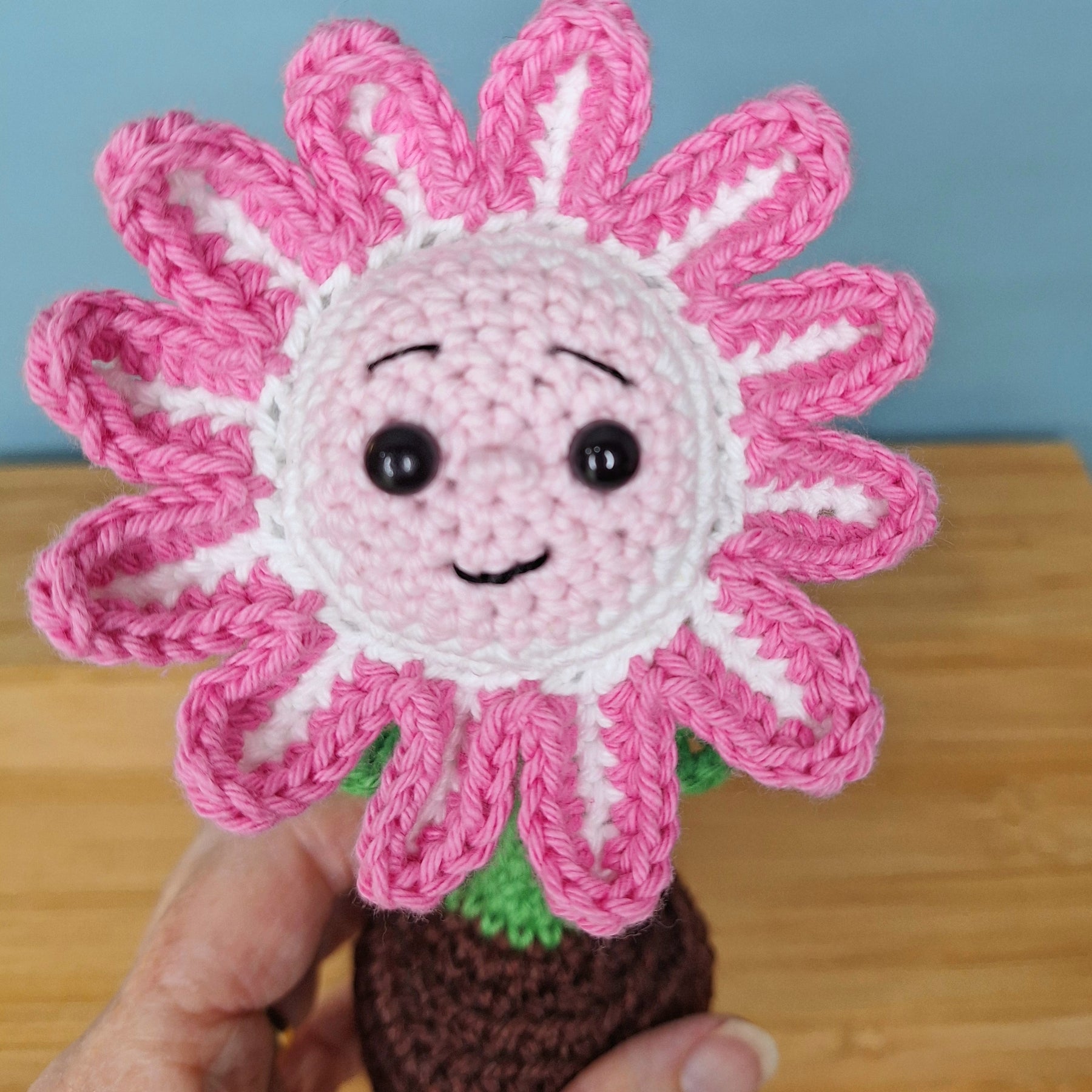 Happy Daisy Crocheted Flower in  Terracotta Pot