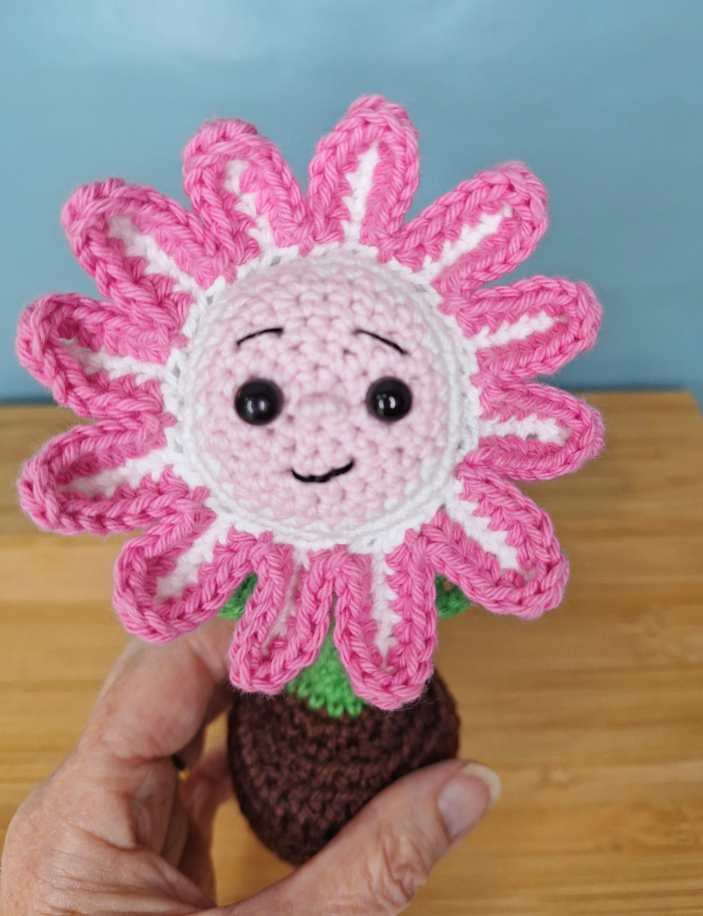 Happy Daisy Crocheted Flower in  Terracotta Pot