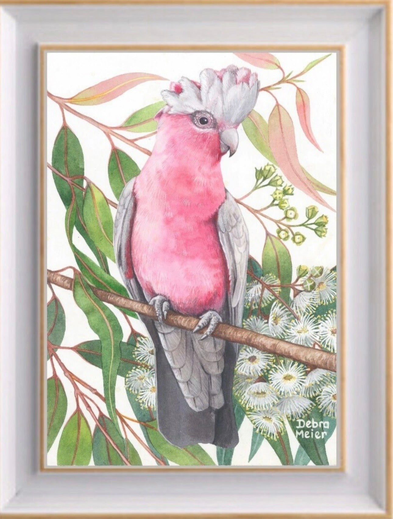 Galah art print by Debra Meier Art