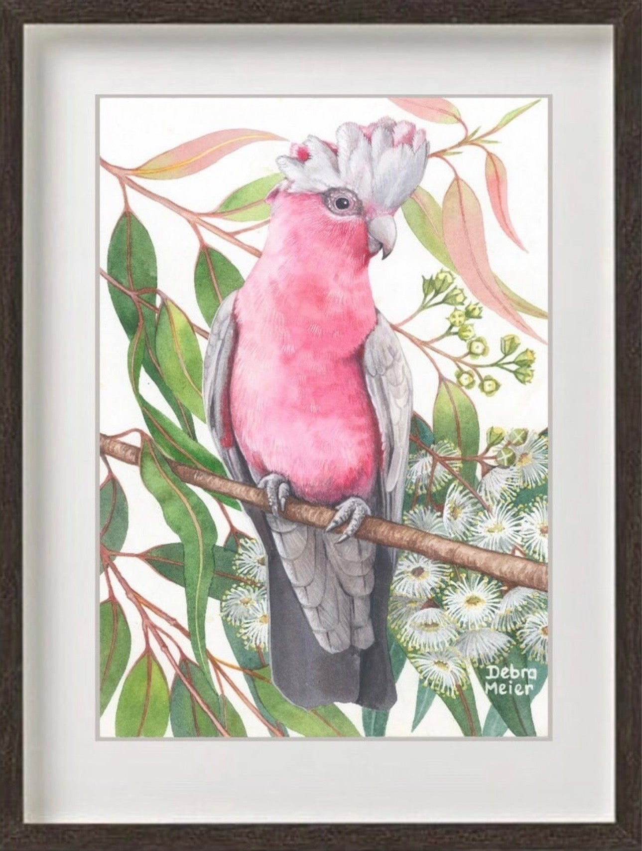 Galah art print by Debra Meier Art