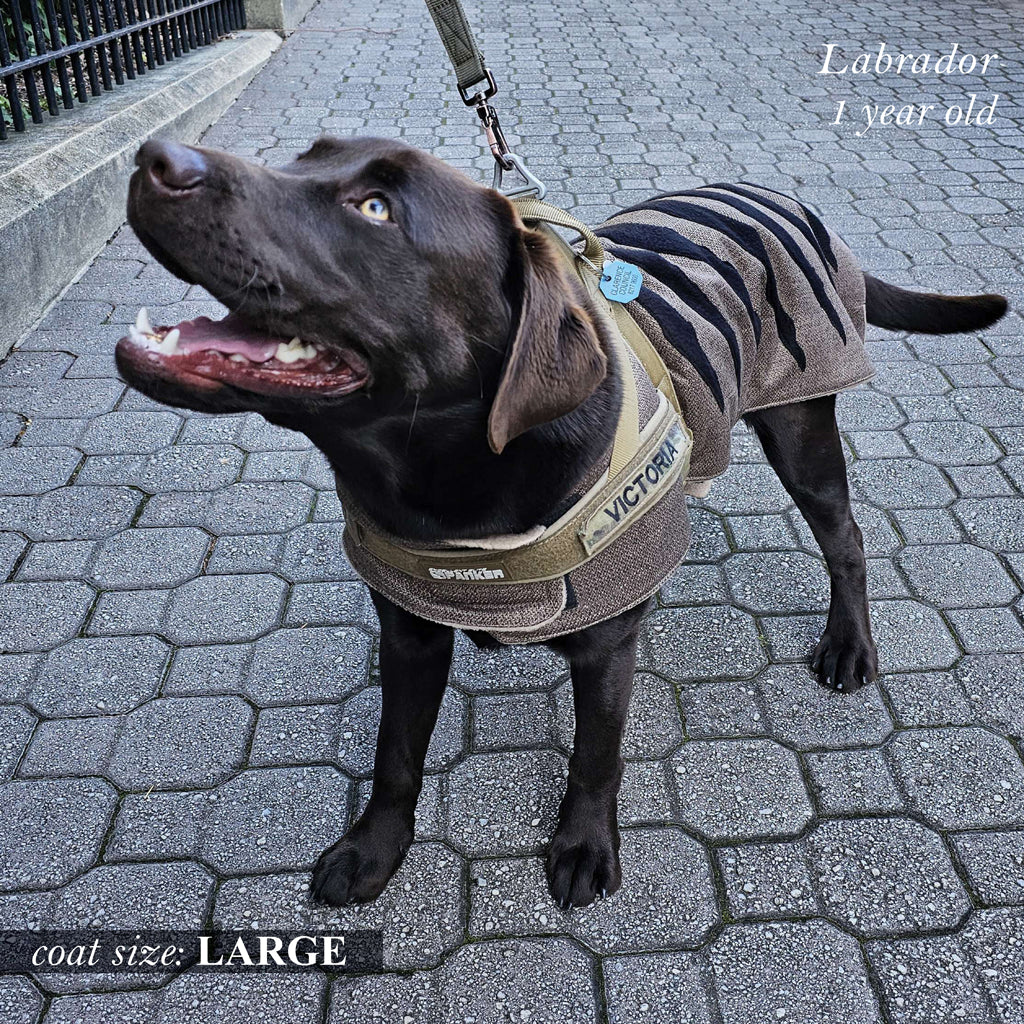 Wild Dog Brown - 7 sizes - XS to L